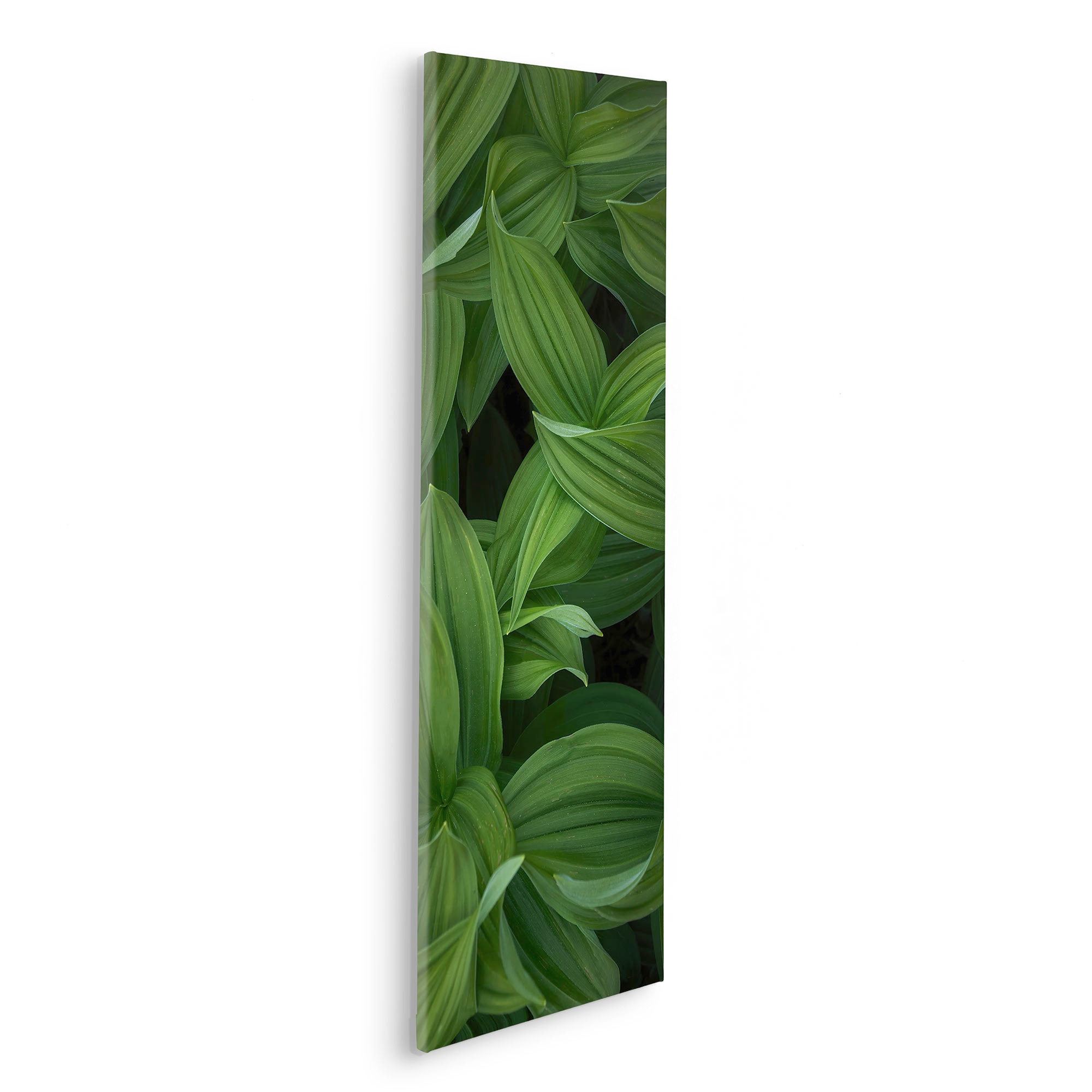 Image of Komar Leinwandbild "Ancilla - Grösse 30 x 90 cm" Natur 1 Stk. tlg. Keilrahmenbild mi Echtholzrahmen