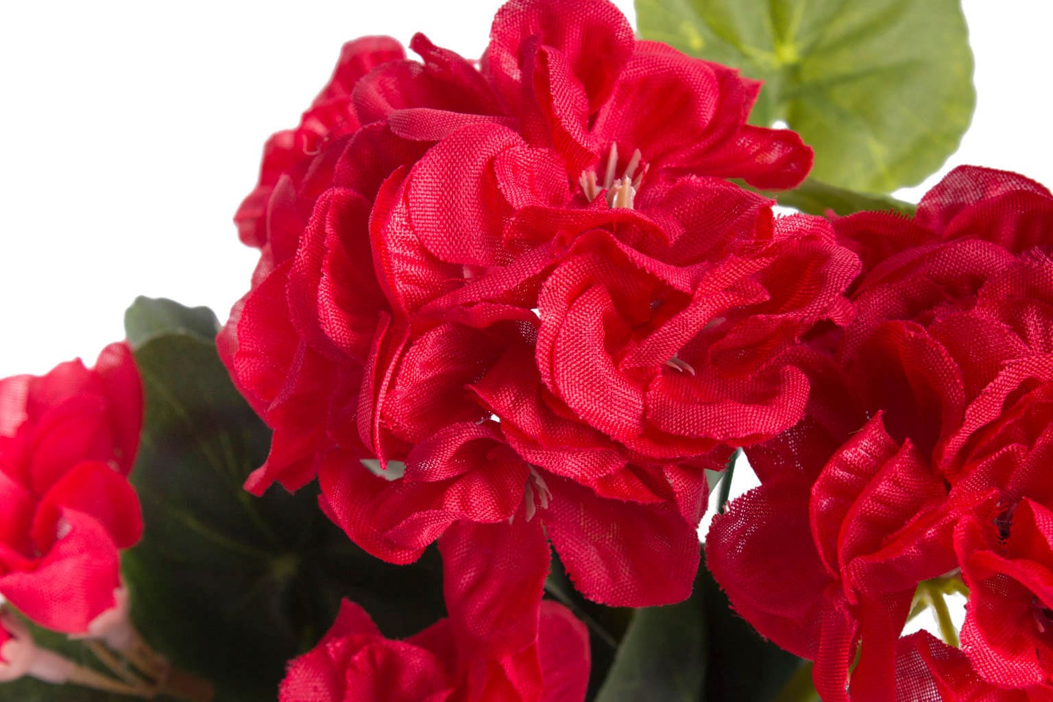 Botanic-Haus Kunstblume mit kaufen 6 »Geranie Stielen«
