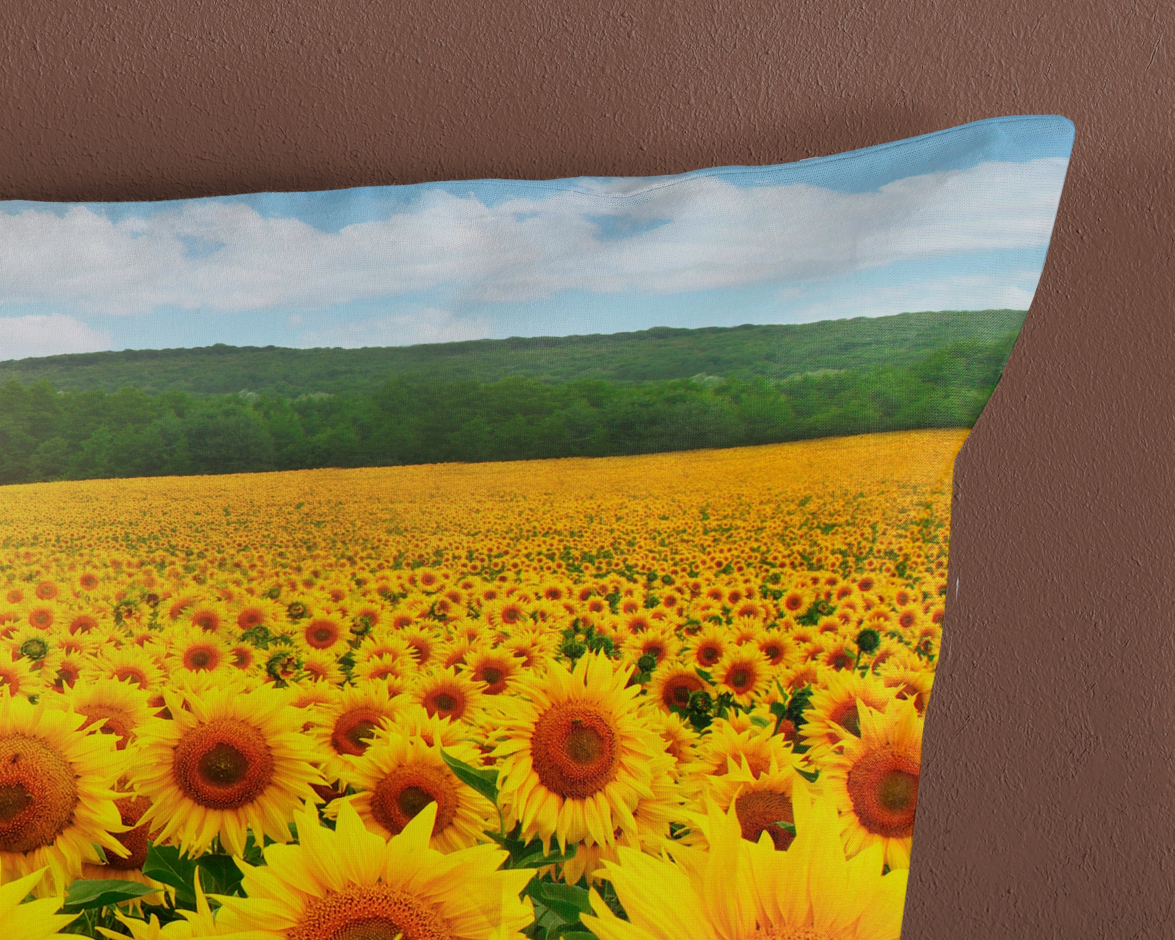 good morning Wendebettwäsche »Sonne«, Baumwolle, 2 Teilig, Reissverschluss, Wende, Sonnenblume, Gelb, Blau