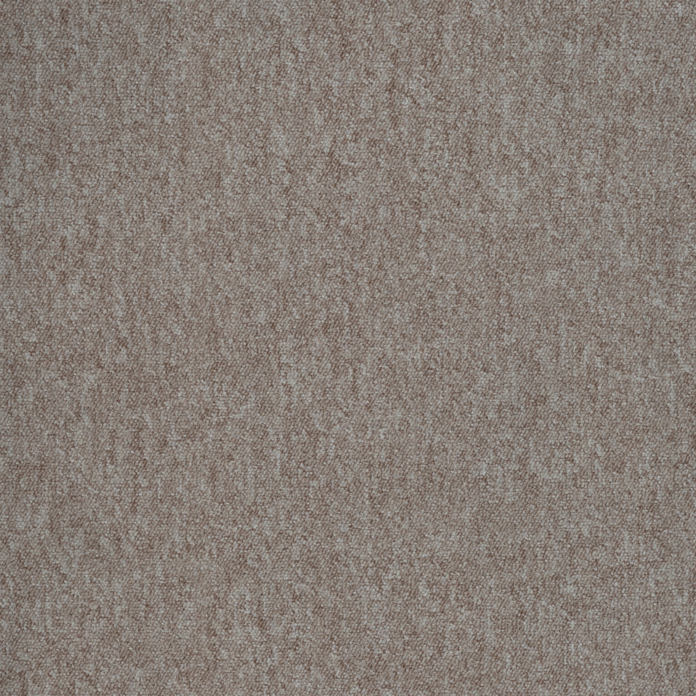 Image of Renowerk Teppichfliese »Colorado«, quadratisch, 6,5 mm Höhe, 50x50 cm, 4 Stk. bei Ackermann Versand Schweiz