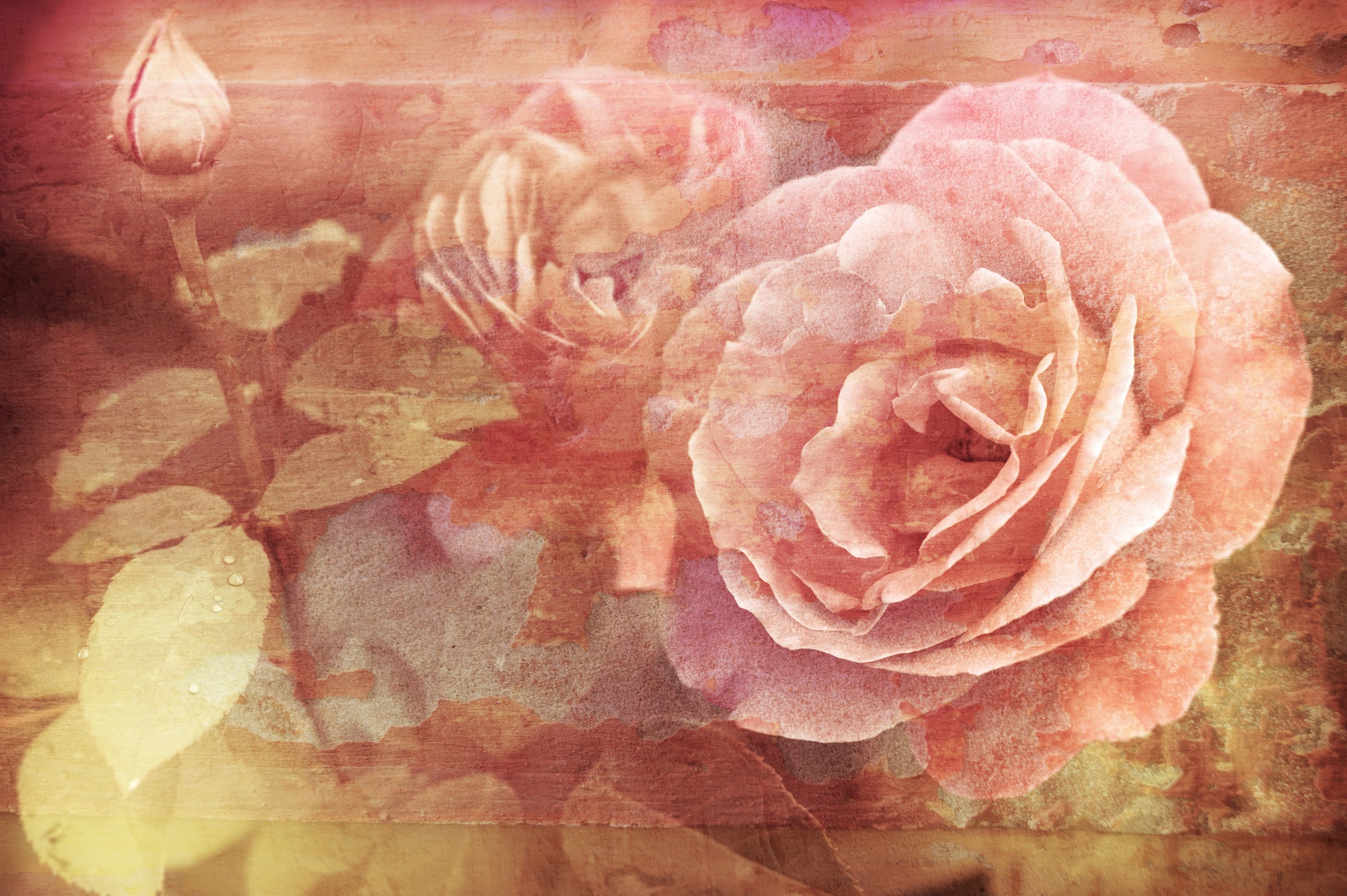 Image of Papermoon Fototapete »Vintage Florals« bei Ackermann Versand Schweiz