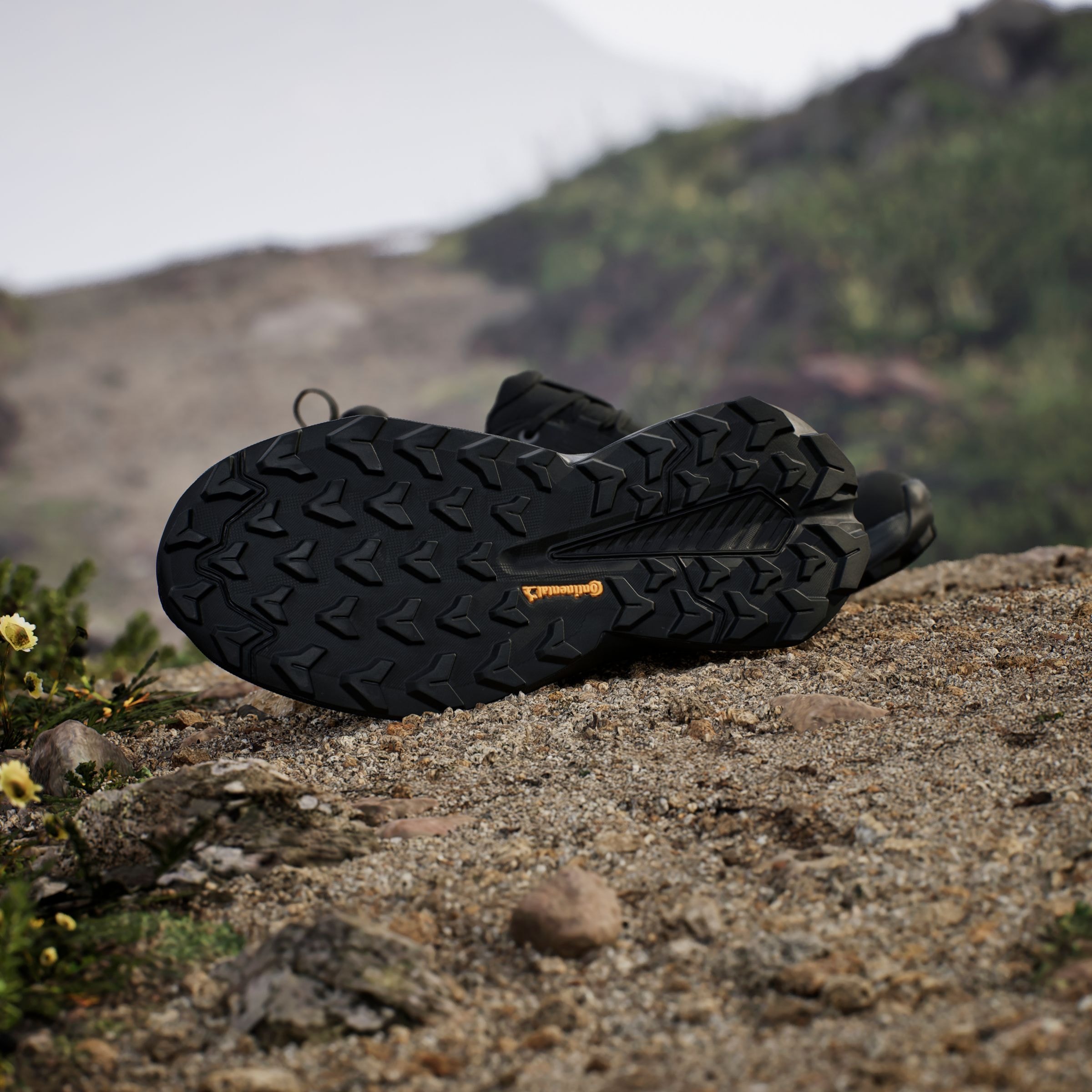 adidas TERREX Wanderschuh »TERREX TRAILMAKER 2.0 GORE-TEX«