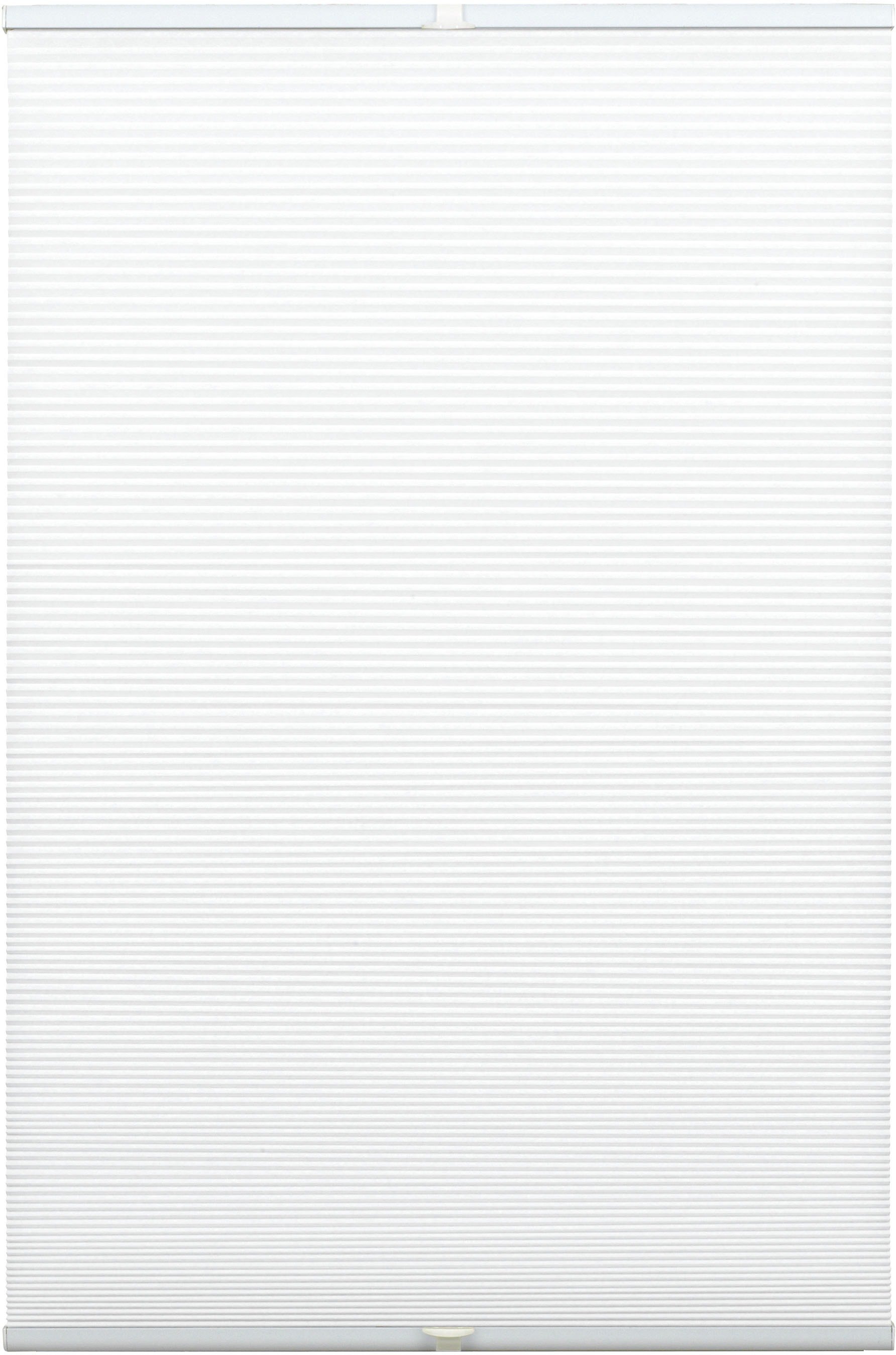 Image of GARDINIA Wabenplissee »Wabenplissee Concept Tageslicht«, blickdicht, mit Bohren, verspannt bei Ackermann Versand Schweiz