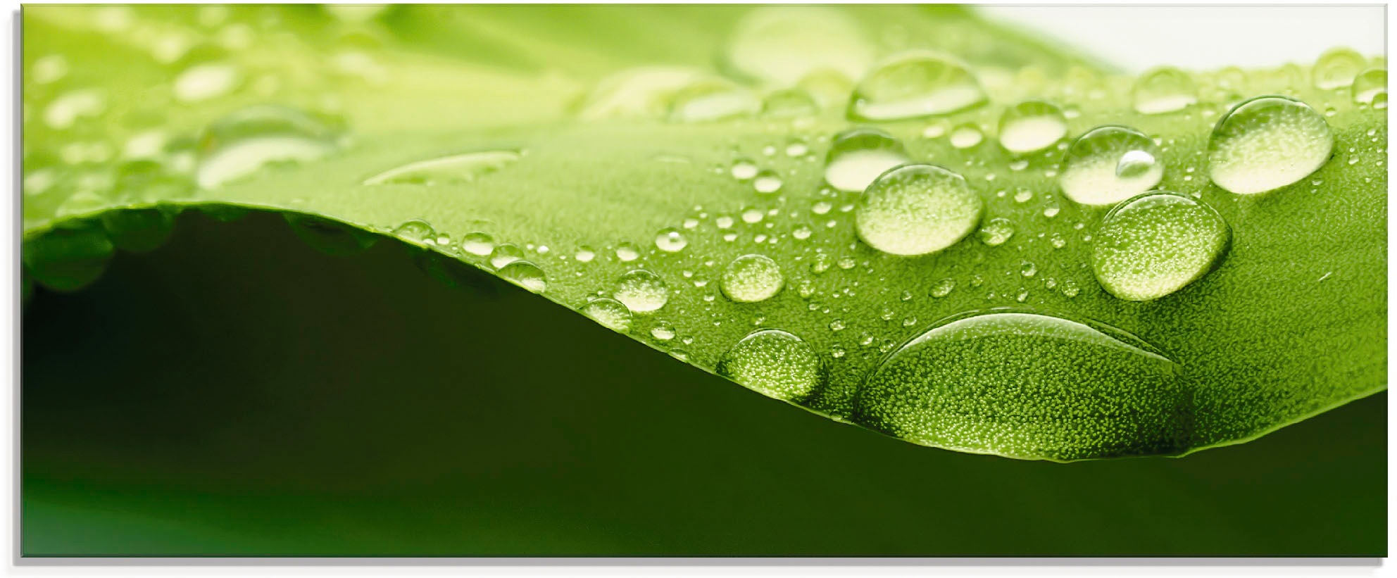 Image of Artland Glasbild »Blatt«, Zen, (1 St.) bei Ackermann Versand Schweiz