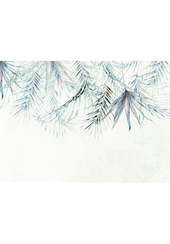 Komar Fototapete »Palm Spring«, Wald-floral, Grösse: 350 x 250 cm (Breite x Höhe),... kaufen