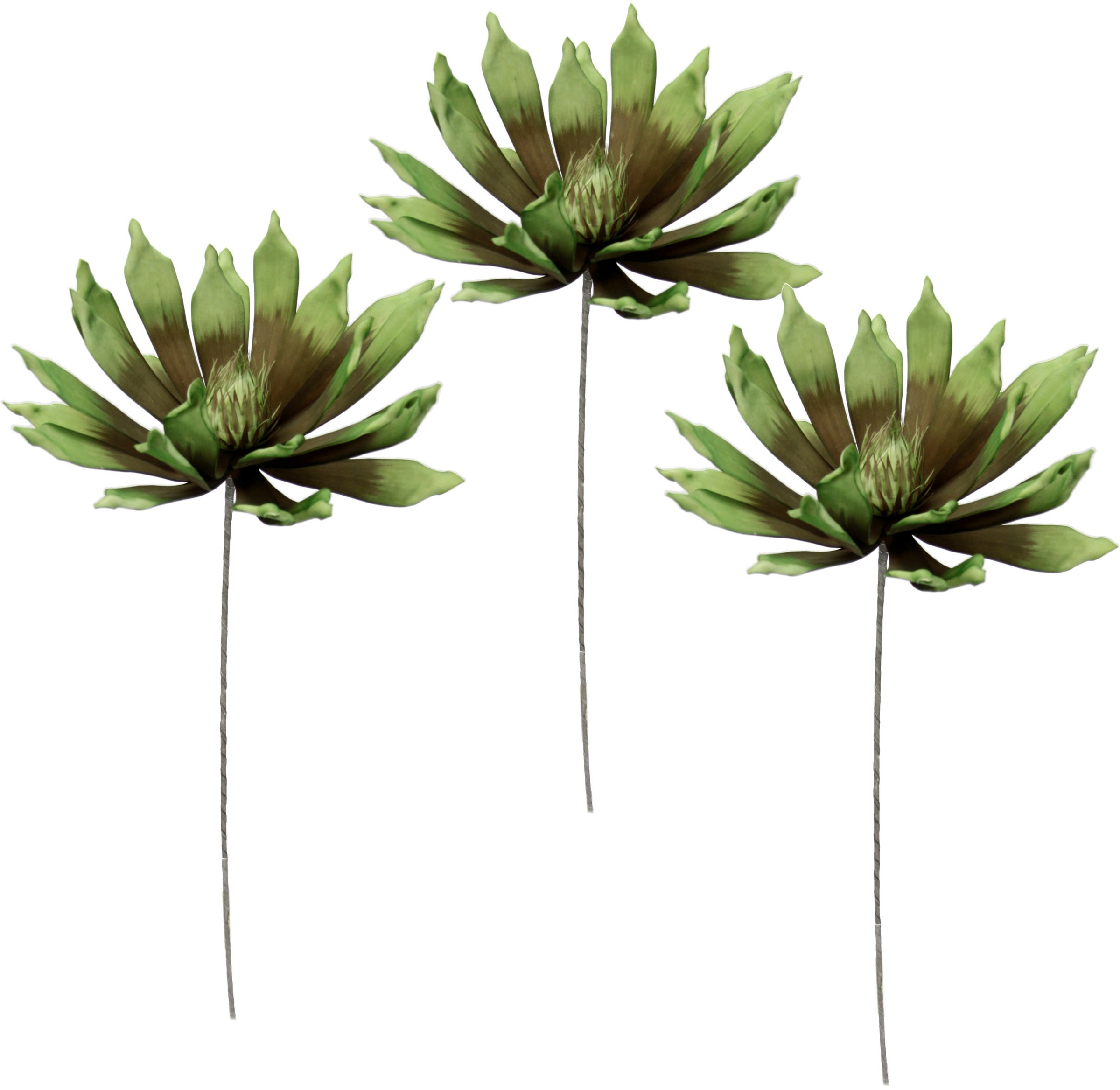 Image of I.GE.A. Kunstblume »Soft-Protea«, (3 St.), 3er Set bei Ackermann Versand Schweiz