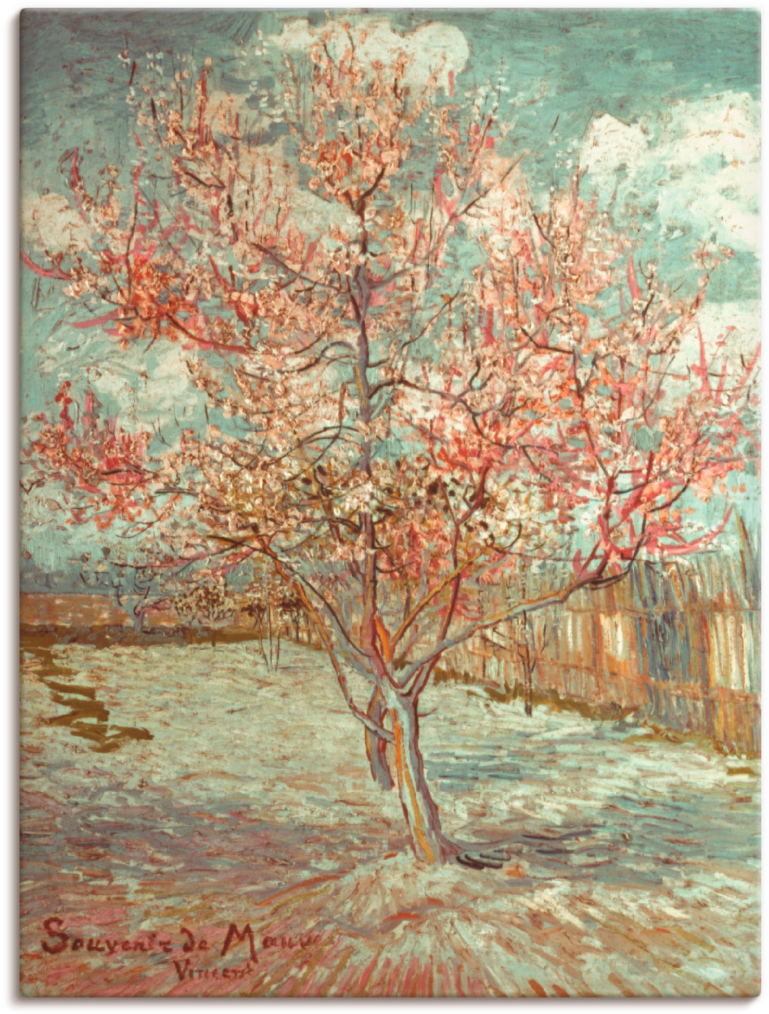 Image of Artland Wandbild »Blühender Pfirsichbaum, 1888«, Wiesen & Bäume, (1 St.), in vielen Grössen & Produktarten - Alubild / Outdoorbild für den Aussenbereich, Leinwandbild, Poster, Wandaufkleber / Wandtattoo auch für Badezimmer geeignet bei Ackermann Versand S
