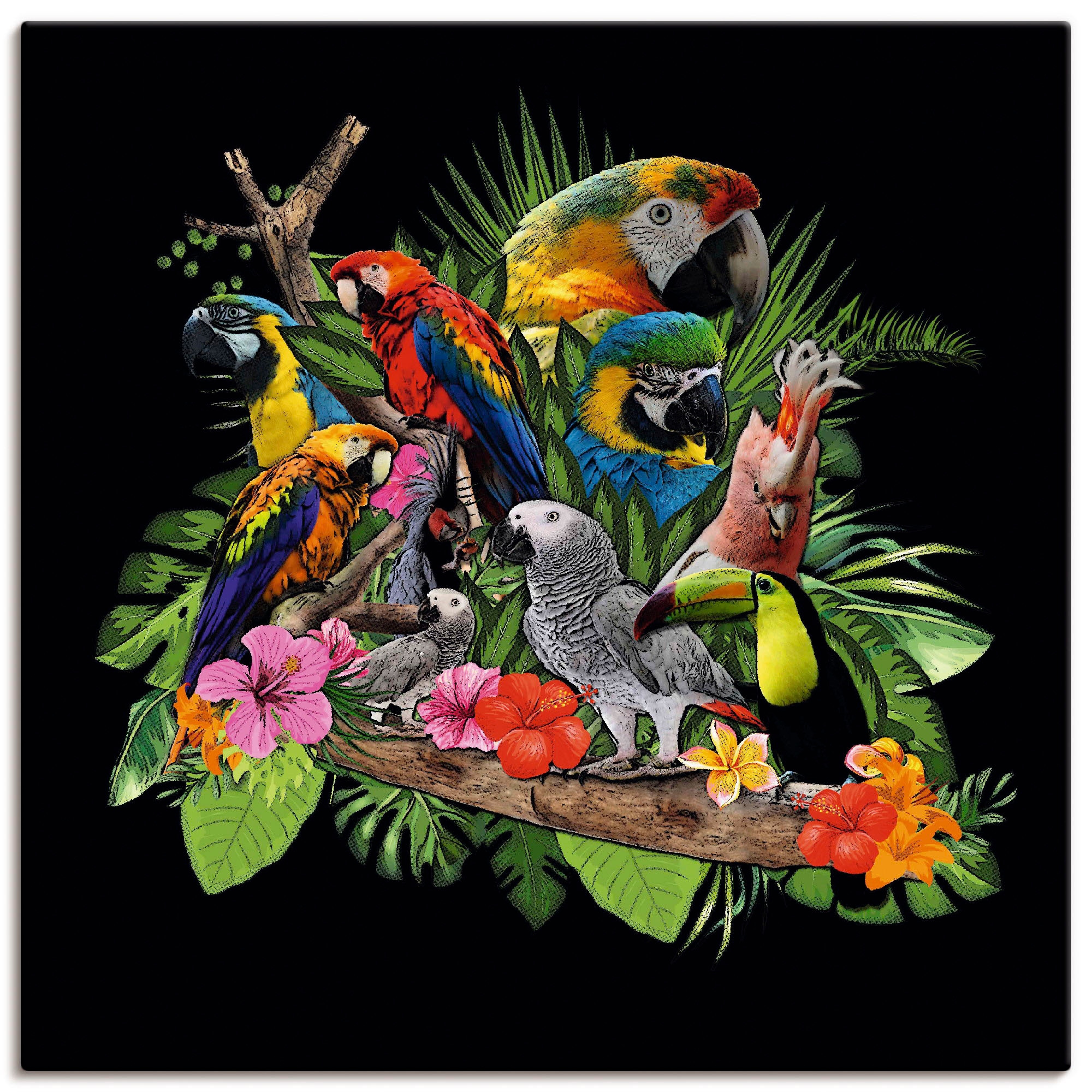 Image of Artland Leinwandbild "Papageien Graupapagei Kakadu Dschungel" Vögel 1 Stk. tlg. auf Holzrahmen gespannt