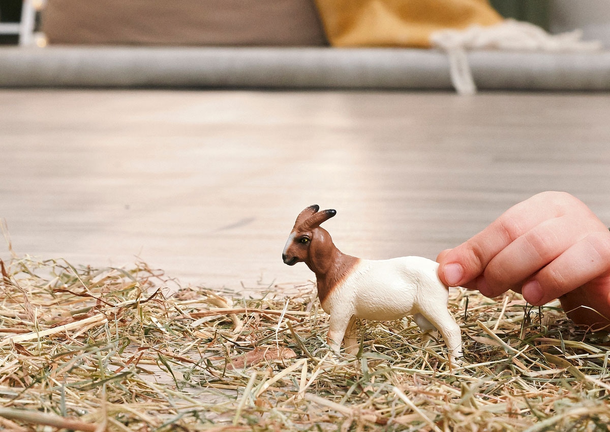 Schleich® Personnage de jeu »FARM WORLD, Burenziege (14929)«