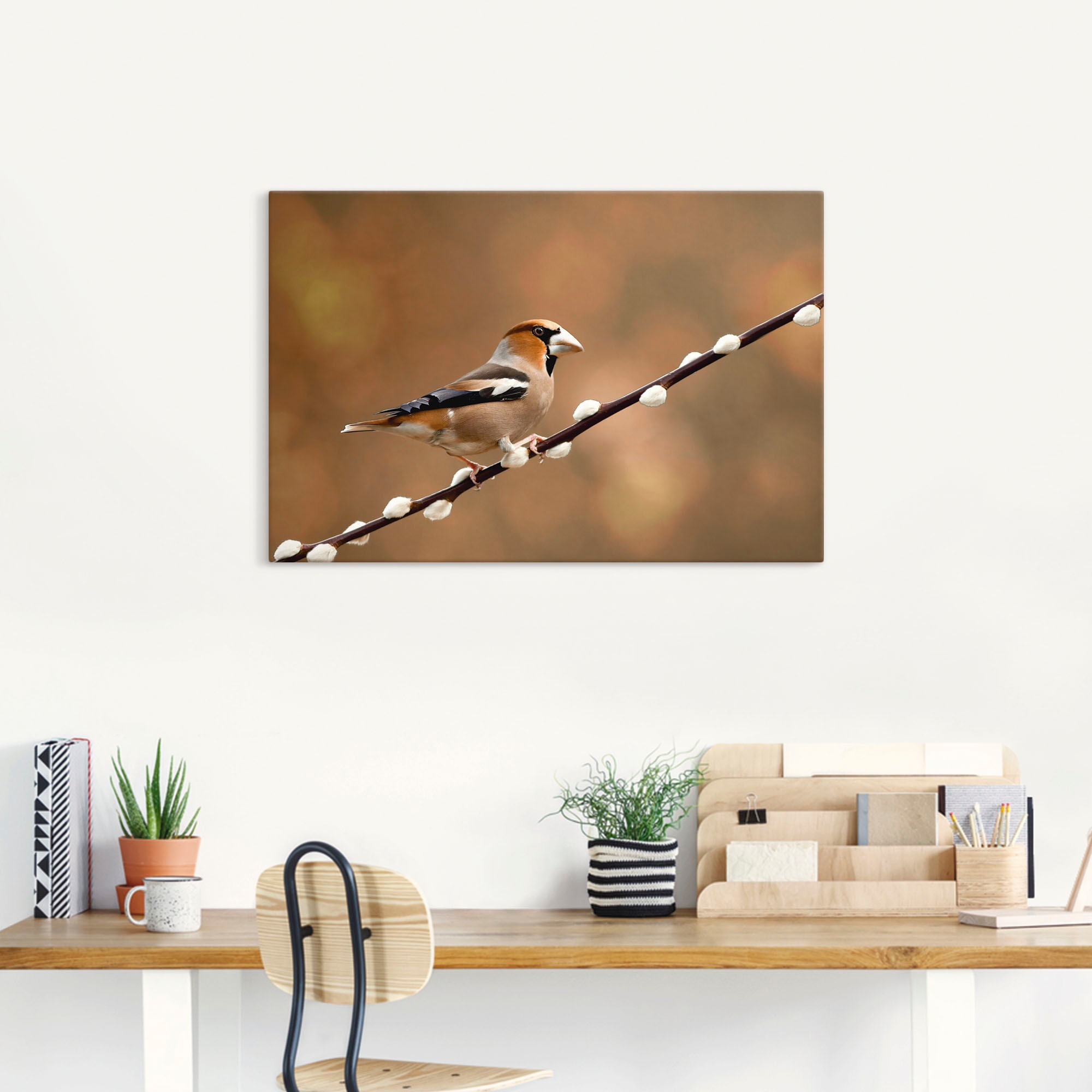 Artland Leinwandbild »Kernbeisser«, Vogelbilder, (1 St.), auf Keilrahmen gespannt