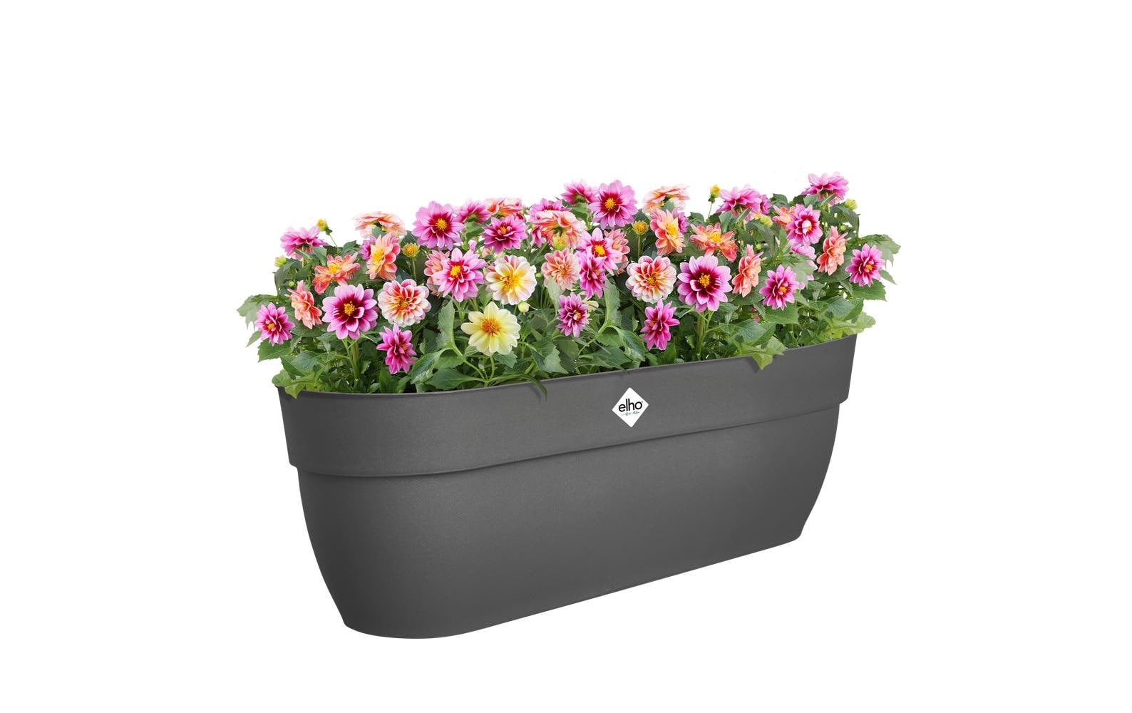 Elho Pot de fleurs »Vibia Campana Easy Aufhänger XL 58«