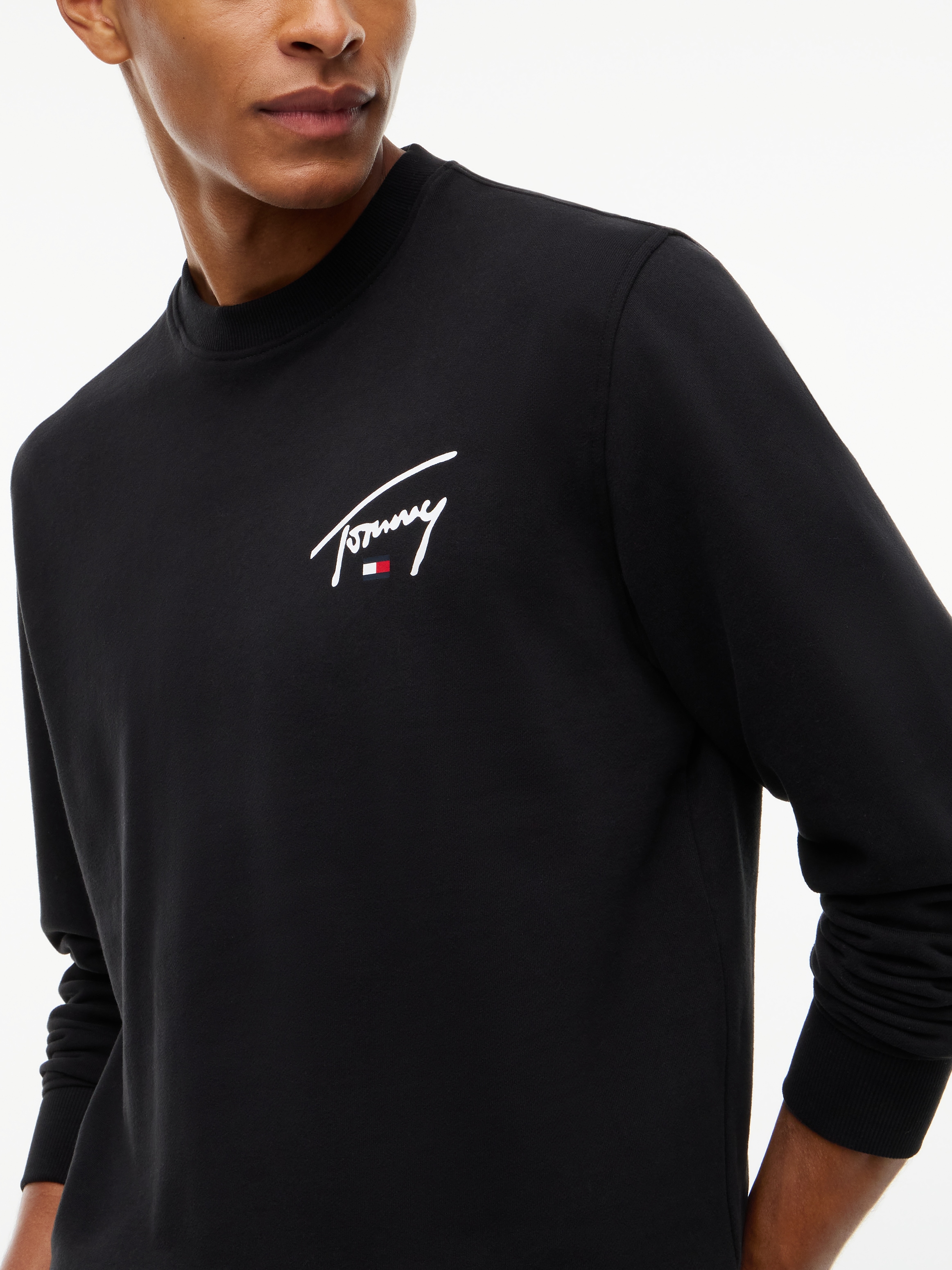 Tommy Jeans Sweatshirt »REGULAR ENTRY SIGNATURE«, Regular fit mit Rundhalsausschnitt
