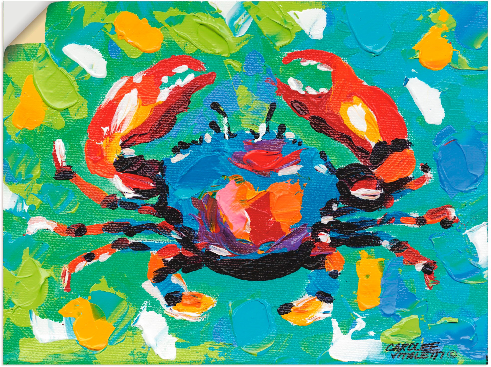 Image of Artland Wandbild »Strand Krabbe I«, Wassertiere, (1 St.), in vielen Grössen & Produktarten - Alubild / Outdoorbild für den Aussenbereich, Leinwandbild, Poster, Wandaufkleber / Wandtattoo auch für Badezimmer geeignet bei Ackermann Versand Schweiz