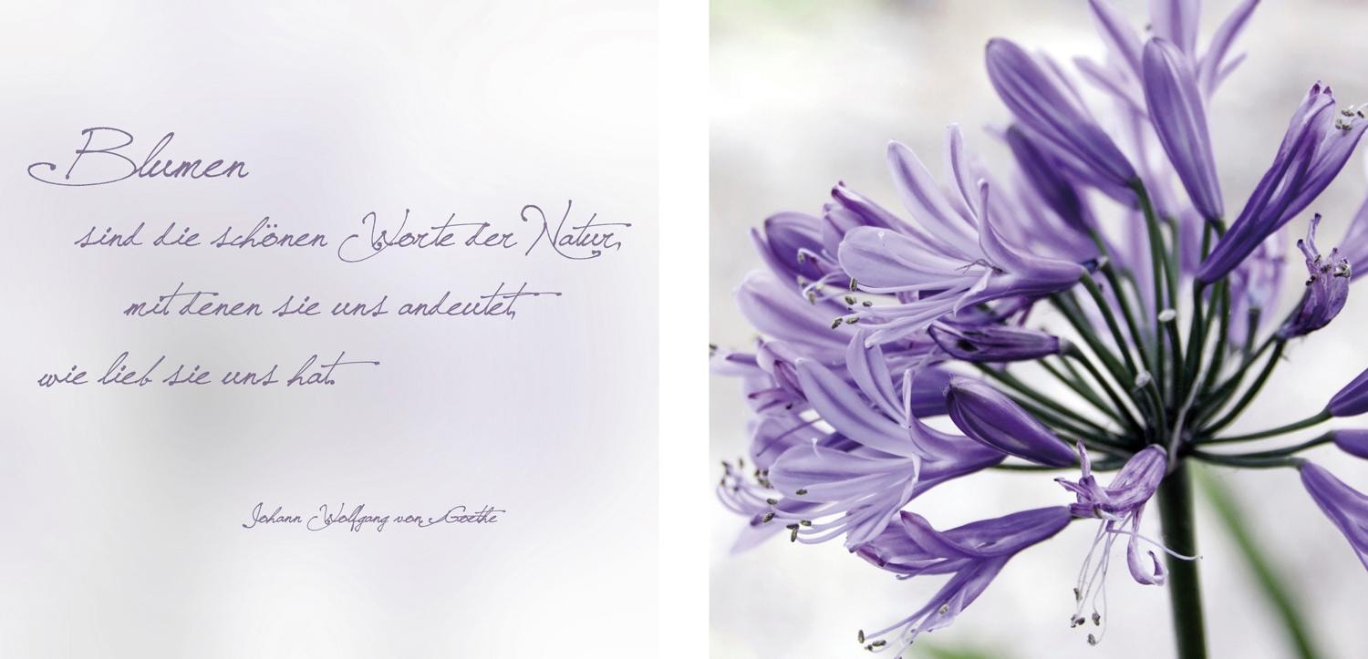 Image of queence Leinwandbild "Worte der Natur" Blätter Blätterbilder Kunst Modern Schriftzug Schriftzüge Spa Spa Bilder Sprüche Sprüche & Texte Set, Premium-Leinwandstoff, Handarbeit aus Deutschland, Zitat, 2er Set