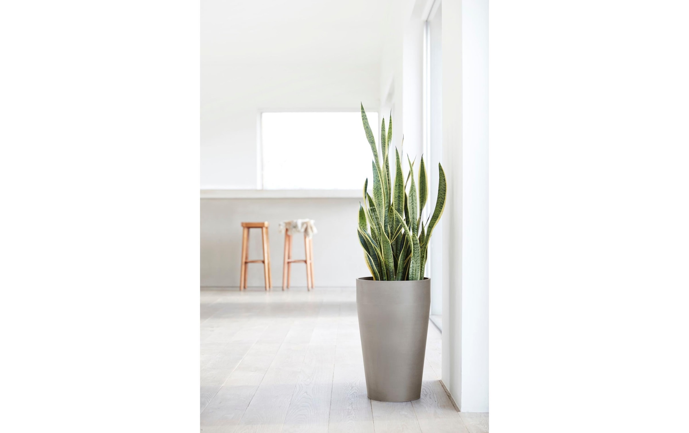   Pot de fleurs »Sankara High Ø 75 cm«