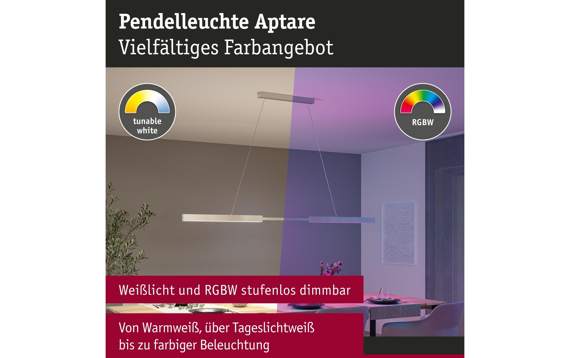 Paulmann Pendelleuchte »LED Pendelleuchte Smart Home Zigbee« LED-Modul RGB | warmweiss - kaltweiss