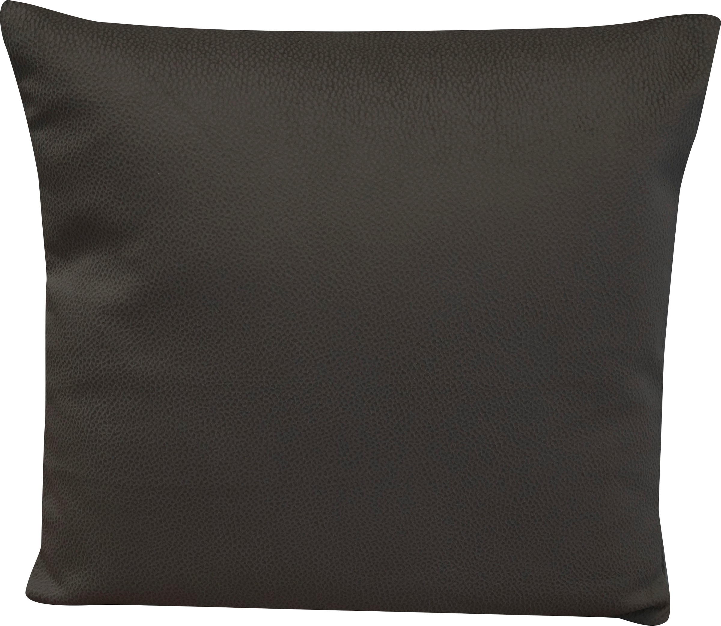 Image of Dohle&Menk Dekokissen »Solar«, (2 St.), 2 Stk., wasser- und schmutzabweisend ausgerüstet bei Ackermann Versand Schweiz