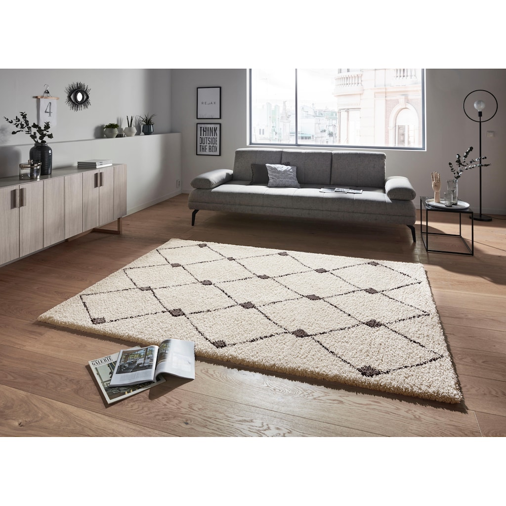HANSE Home Hochflor-Teppich »Create«, rechteckig