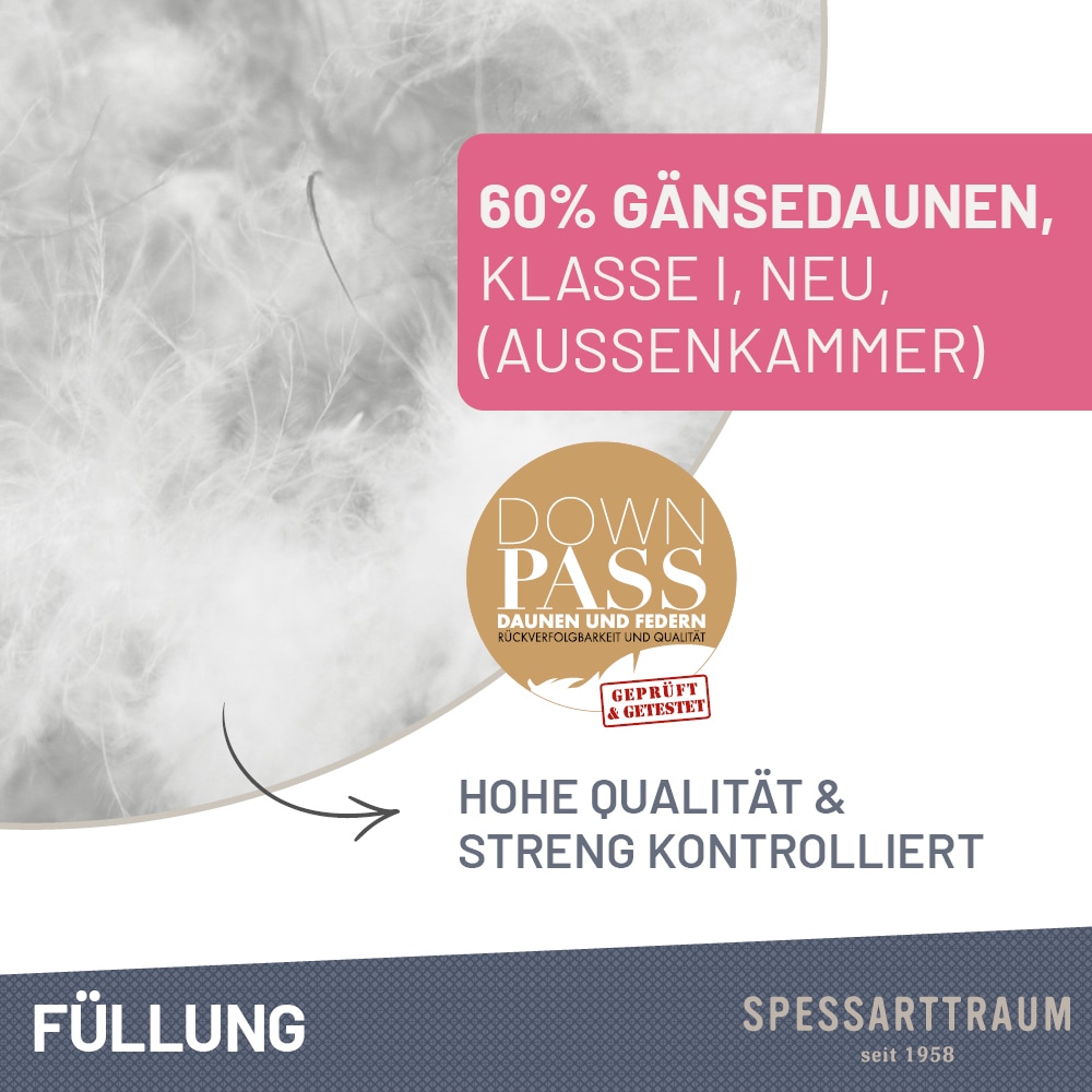 SPESSARTTRAUM 3-Kammer-Kopfkissen »Premium« Füllung: 60% Gänsedaunen / 40% Gänsefedern, Klasse 1, Downpass zertifiziert (Aussenkammern) 1 Stk. tlg. gute Stützkraft, Seitenschläfer & Rückenschläfer