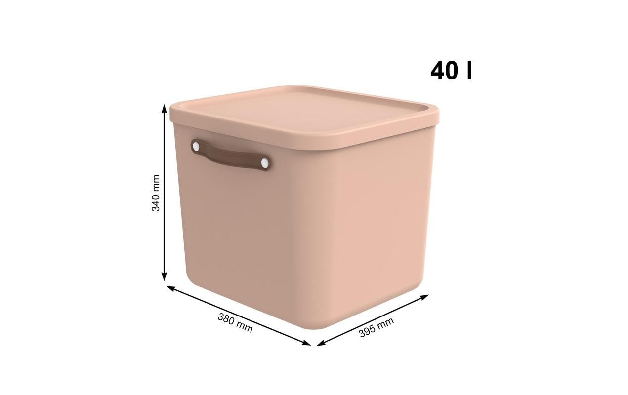 ROTHO Aufbewahrungsbox »Maloja«