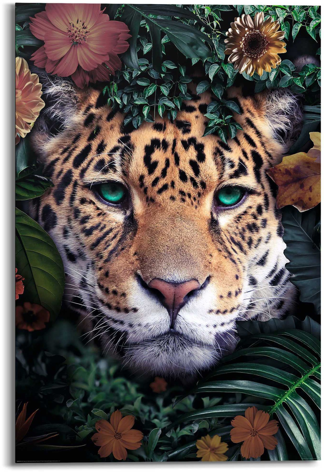 versandkostenfrei (1 St.) Farbenfroh«, »Wandbild - auf Jungle Reinders! Leopard, Blumenkranz ♕ Leopard Wandbild -