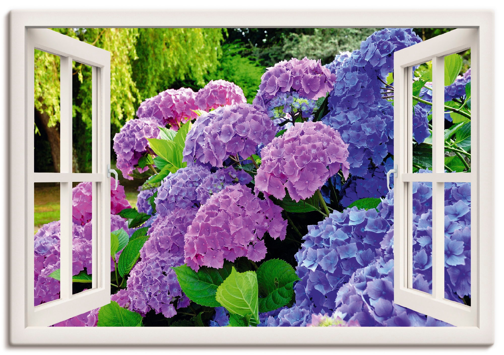 Image of Artland Wandbild »Fensterblick Hortensien im Garten«, Blumen, (1 St.), in vielen Grössen & Produktarten - Alubild / Outdoorbild für den Aussenbereich, Leinwandbild, Poster, Wandaufkleber / Wandtattoo auch für Badezimmer geeignet bei Ackermann Versand Schw