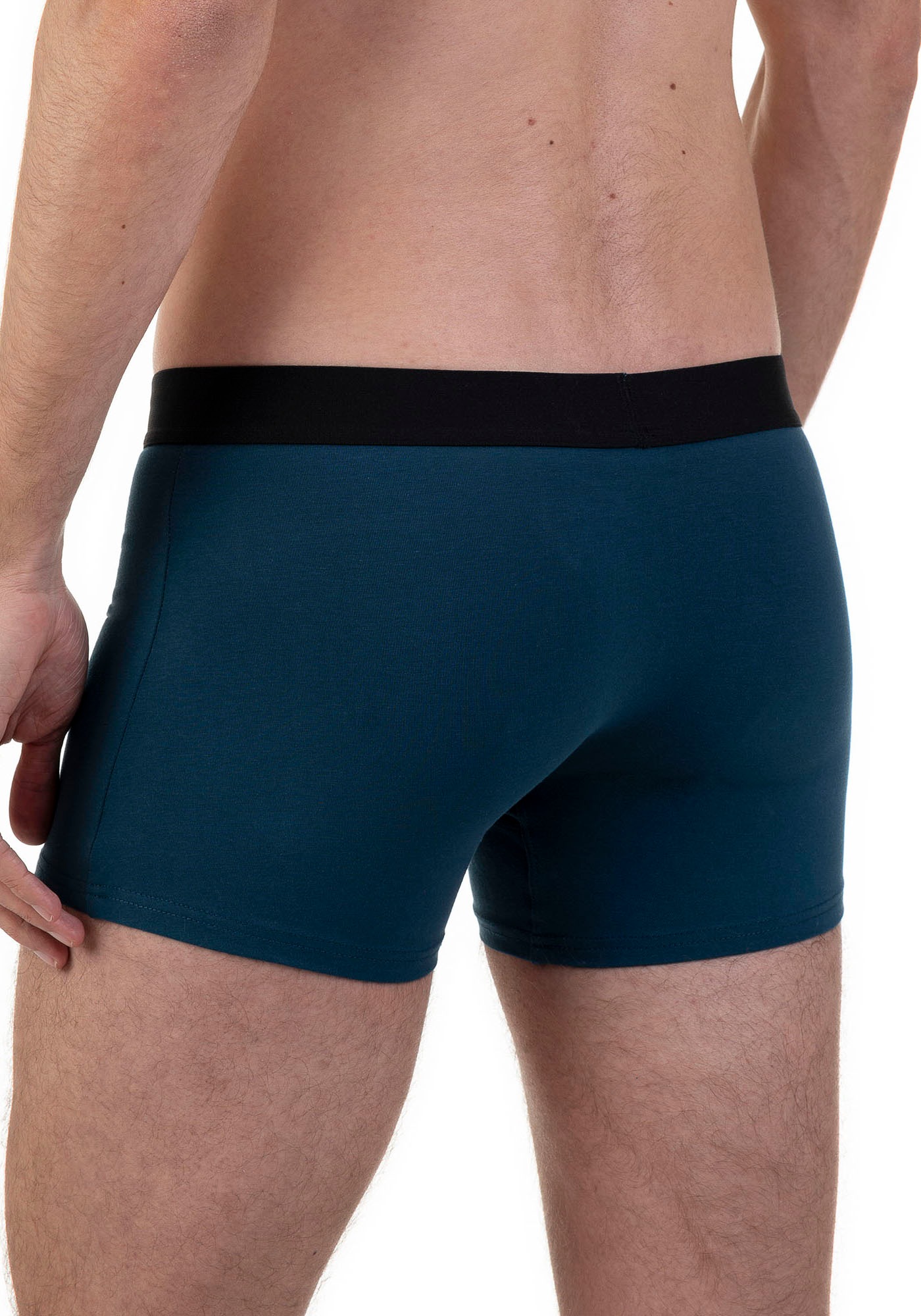 Bruno Banani Boxer, (2er Pack), mit kontrastreichem Logobund