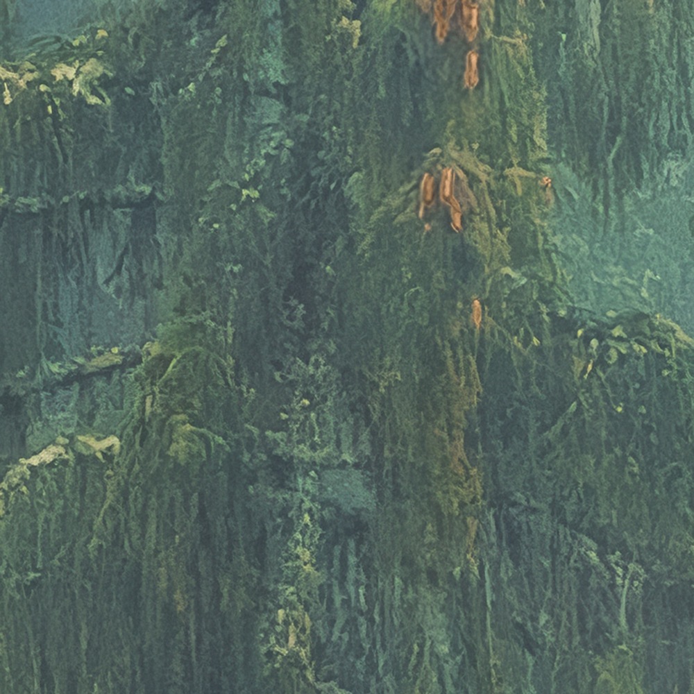 Komar Fototapete »Vlies Fototapete - Foggy Firs - Grösse 400 x 250 cm« Motiv | bedruckt glatt