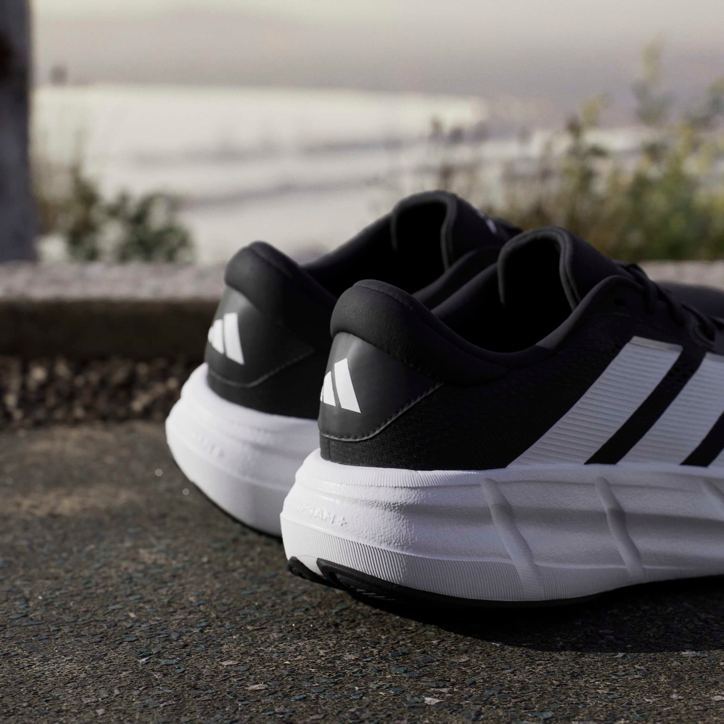 adidas Performance Chaussure de course »QUESTAR 4«