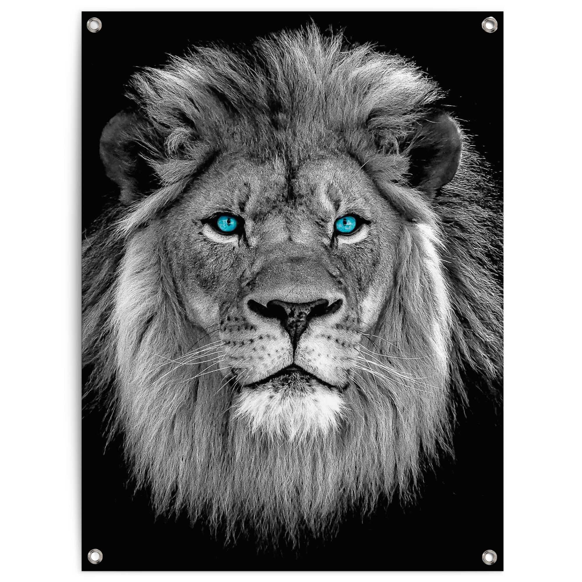 Image of Reinders Poster "Löwe mit blaue Augen" Outdoor für Garten oder Balkon