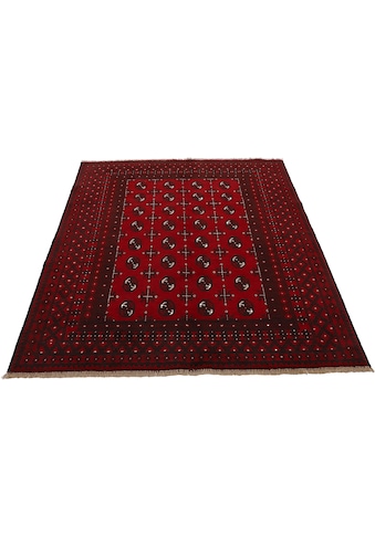 Orientteppich »Afghan Akhche Bokhara«, rechteckig