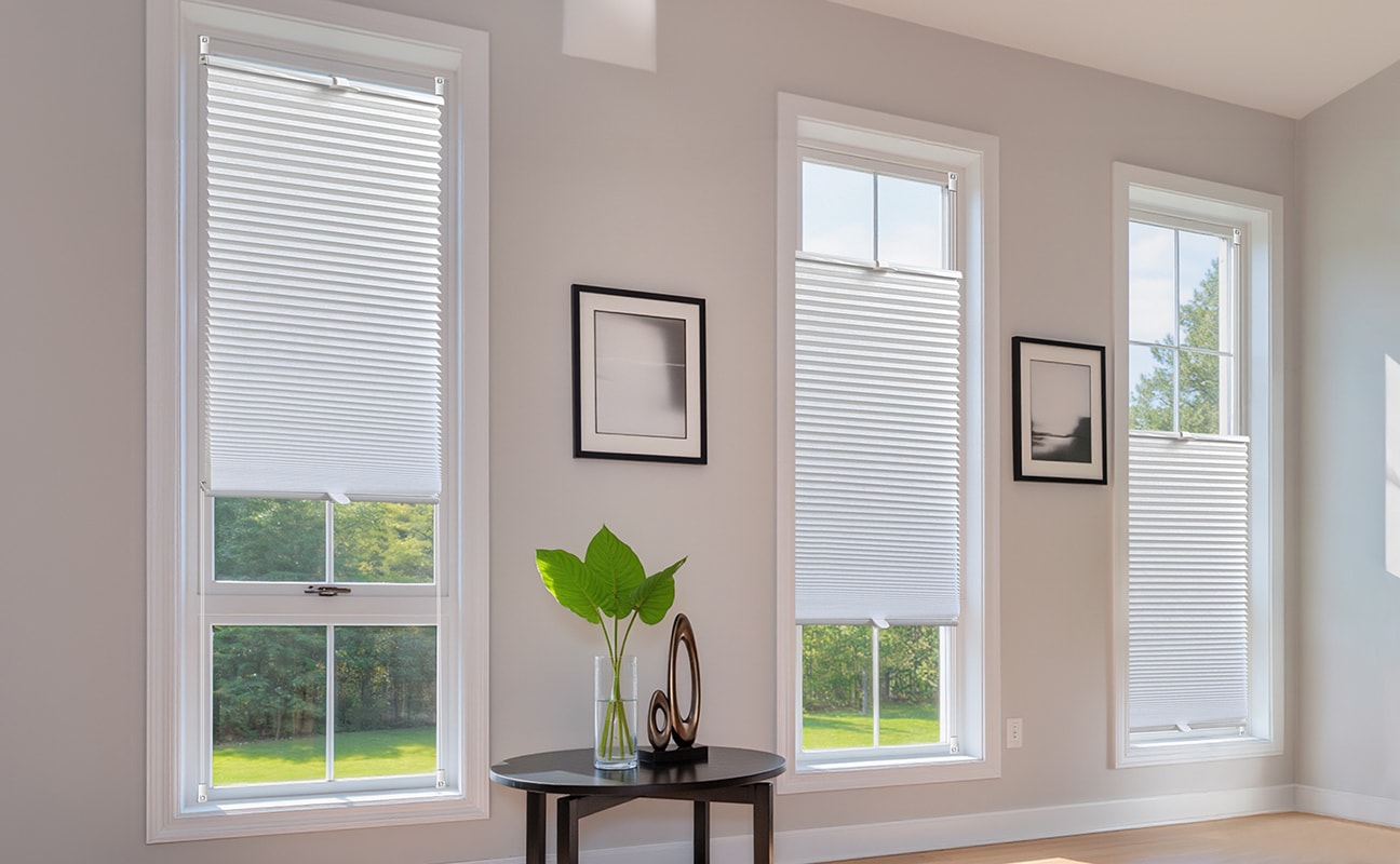 GOODproduct Plissé »LORRANA« Lichtschutz ohne Bohren verspannt Fixmass, moderner Lichtschutz, flexibel verspannt - NEUHEIT!