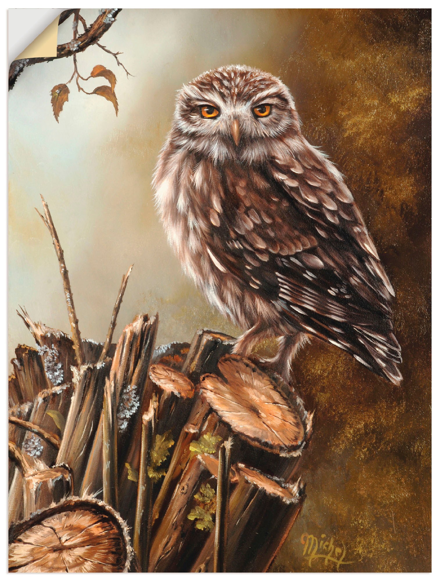 Artland Wandbild »Eule«, Vögel, (1 St.), als Leinwandbild, Wandaufkleber  oder Poster in versch. Grössen bequem kaufen