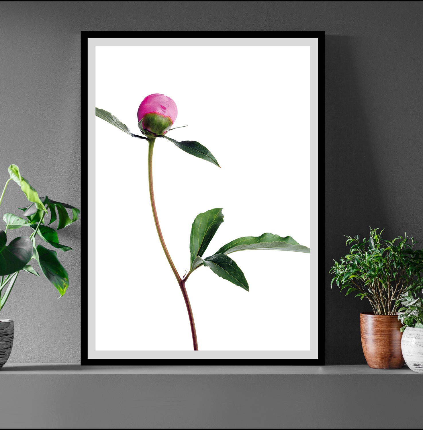 Image of queence Bild "Manuel" Blumen Blumenbilder Foto Kunst Pflanzenbilder gerahmt, Rosen