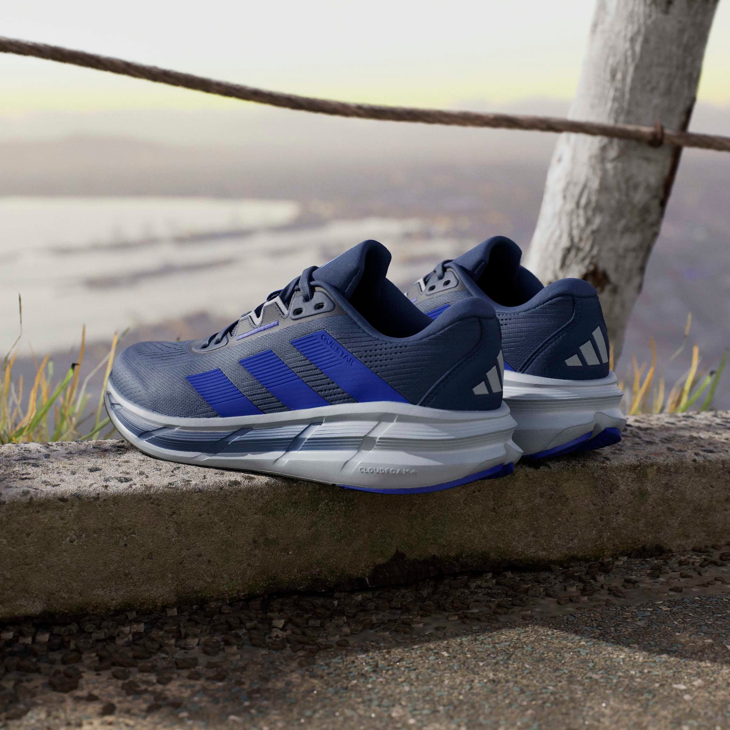 adidas Performance Chaussure de course »QUESTAR 3 M«