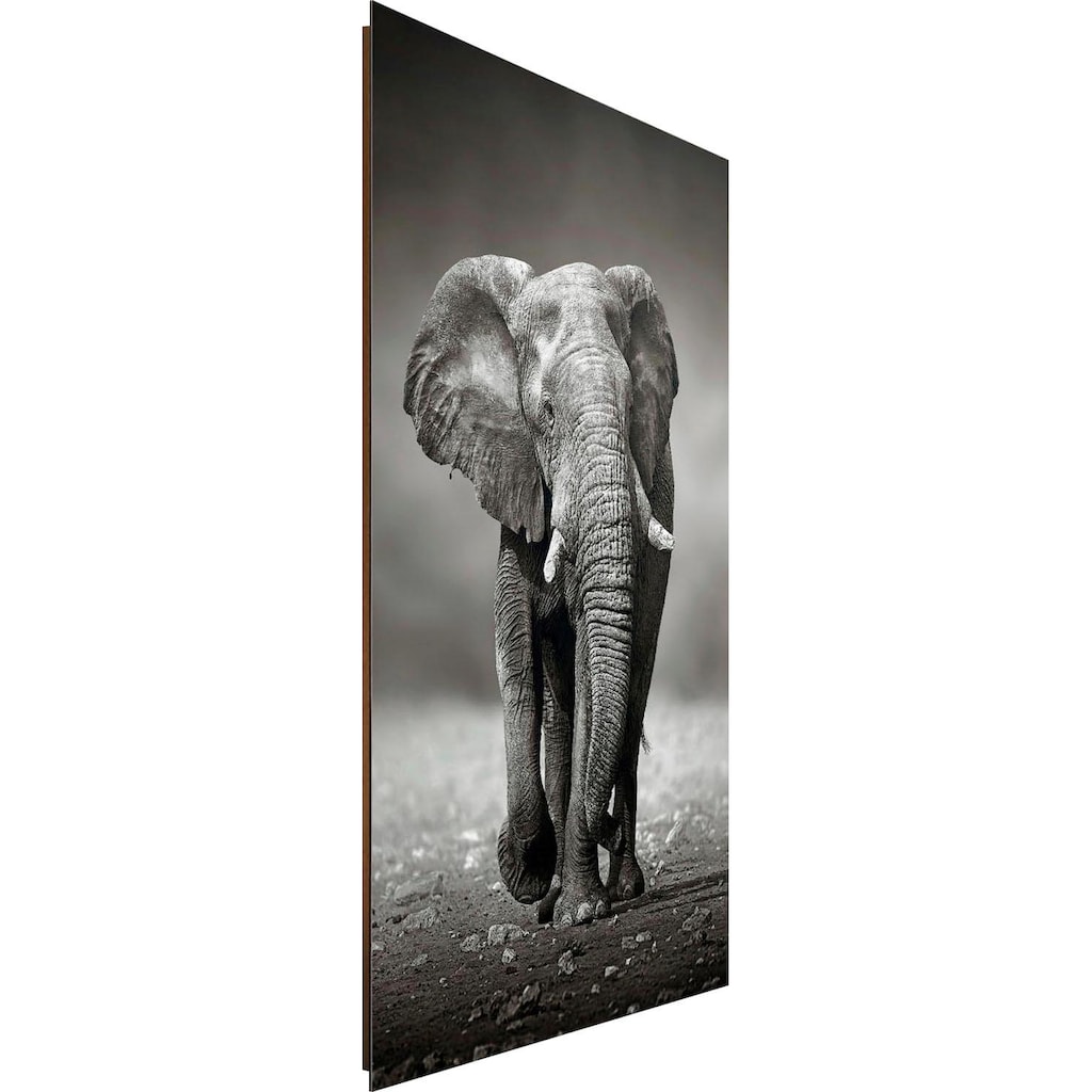 Reinders! Deco-Panel »Elefant Wanderung«