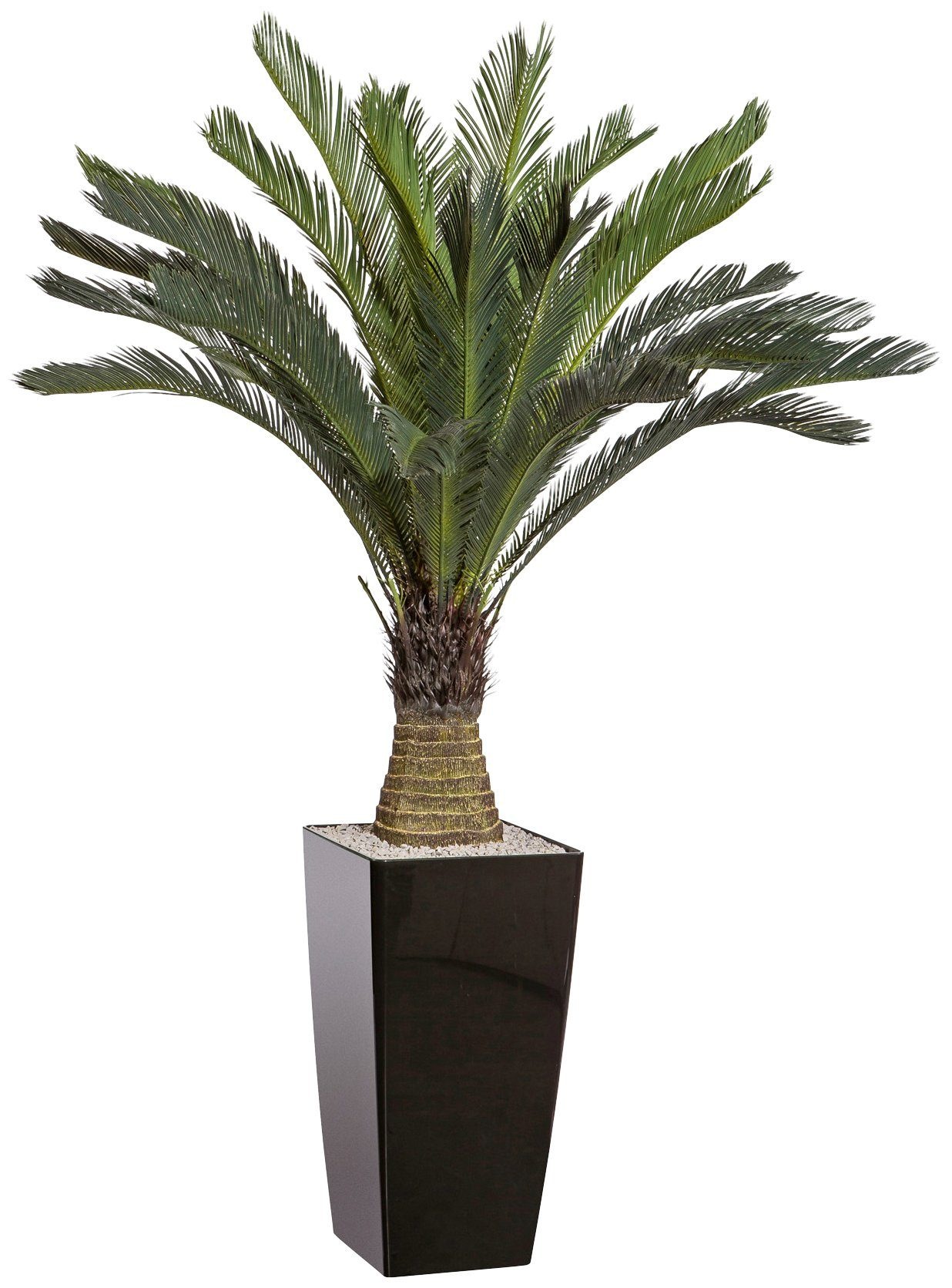 Image of Creativ green Kunstpalme »Cycaspalme«, (1 St.), im Kunststofftopf bei Ackermann Versand Schweiz