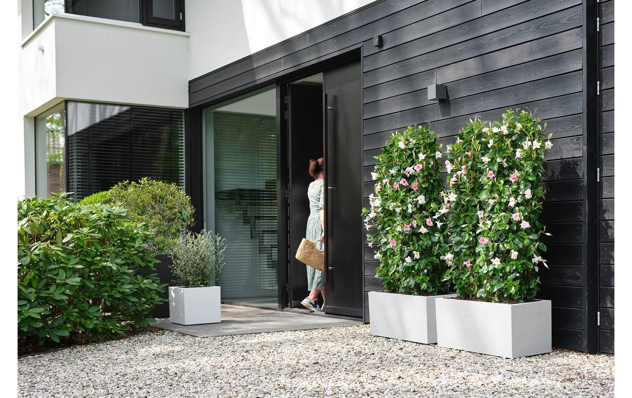 Elho Blumentopf »Vivo Next Lang 60 cm«