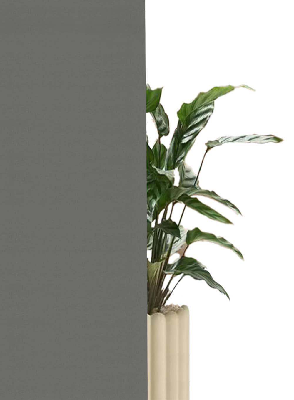 GOODproduct Store à tirage latéral »THEMSE« obscurcissant occultation | protection visuelle | économique en énergie Aucun perçage requis suspendu librement bestseller avec plus de 3000 avis 4,5 étoiles, bretelles pince