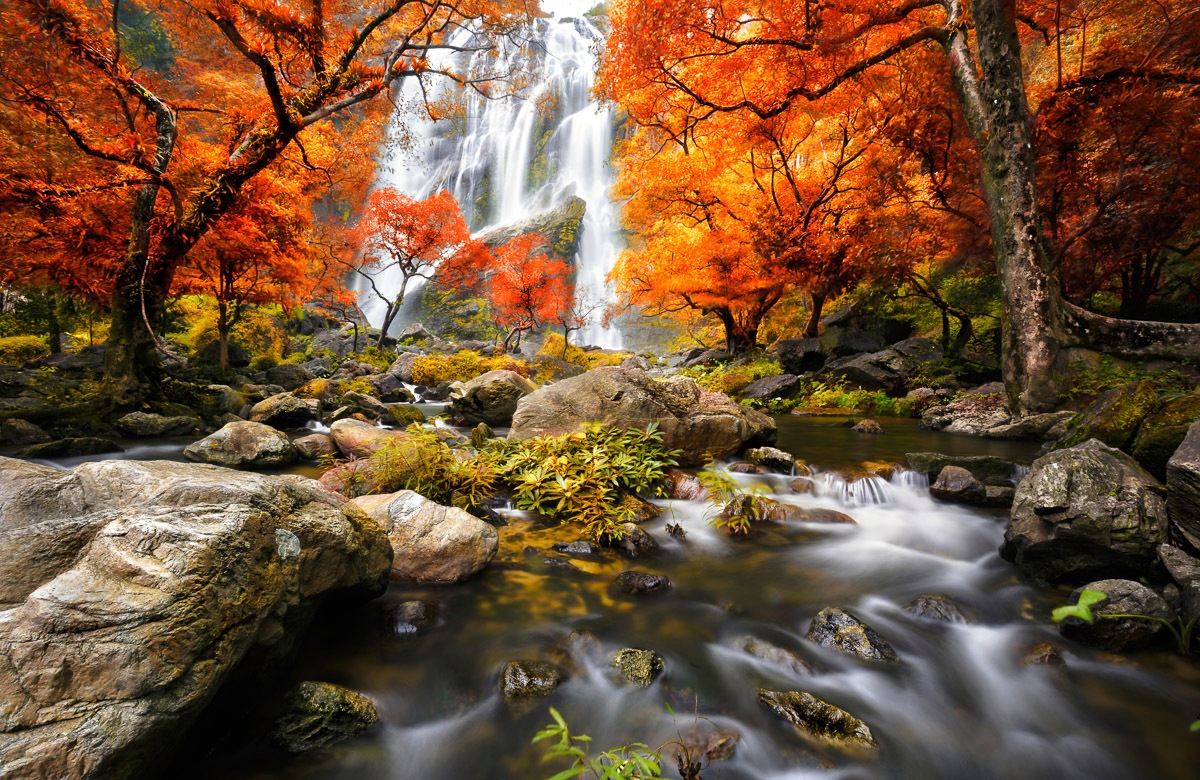 Image of Papermoon Fototapete »WASSERFALL-HERBST WALD BÄUME STEINE FLUSS LANDSCHAFT«, Vliestapete, hochwertiger Digitaldruck, inklusive Kleister bei Ackermann Versand Schweiz