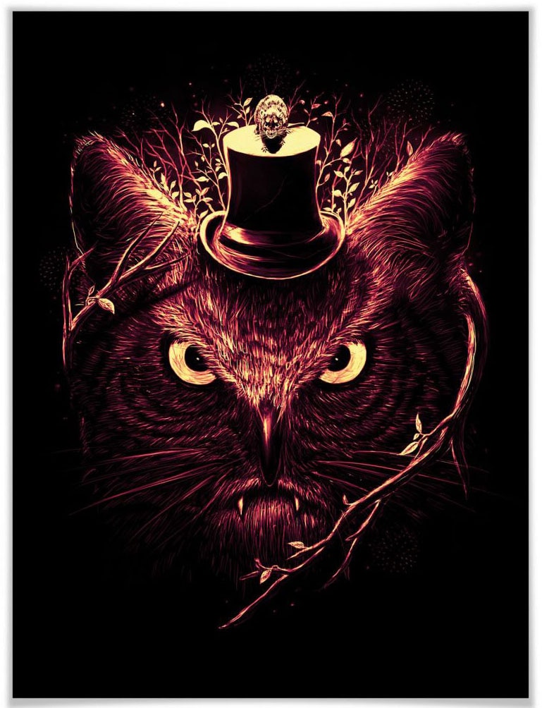 Wall-Art Poster »Nicebleed Meowl Eule Tiere, Wandposter St.), Katze Bild, à (1 prix bas Magie«, Poster, Wandbild