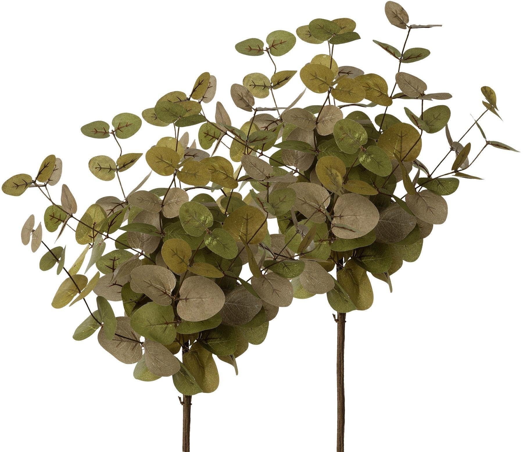 Image of Creativ deco Kunstzweig »Eukalythuszweig«, (Set, 2 St.) bei Ackermann Versand Schweiz