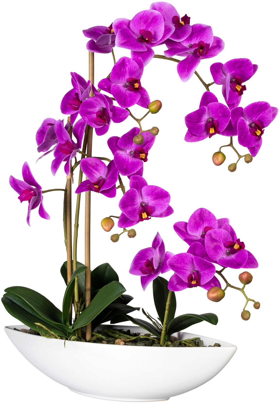 Creativ green Kunstorchidee »Phalaenopsis«, im Keramikschiff