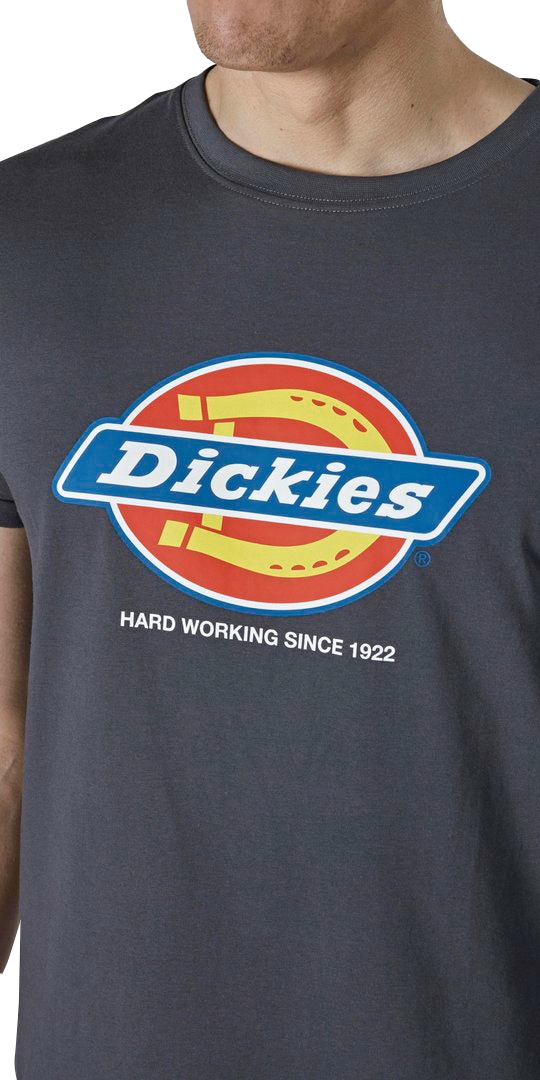 Dickies T-Shirt »Denison«, aus Baumwolle