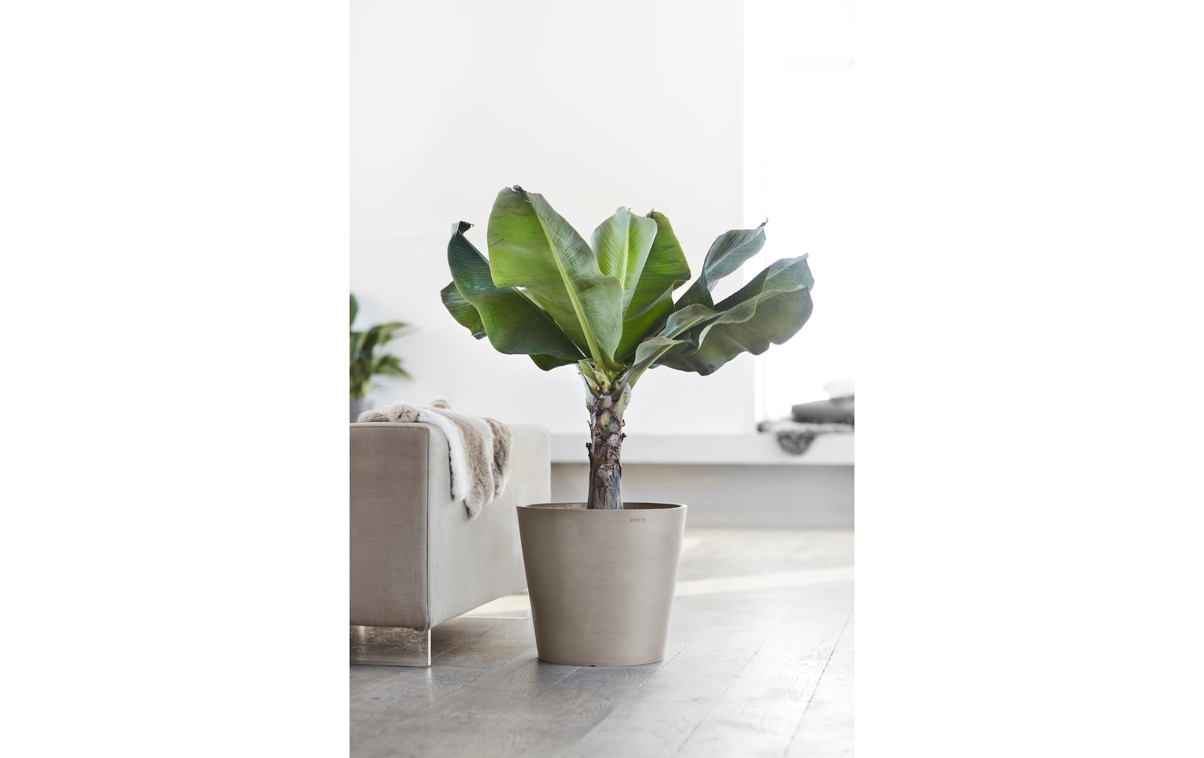 ECOPOTS Pflanzkübel »Amsterdam 40«, (1 St.)