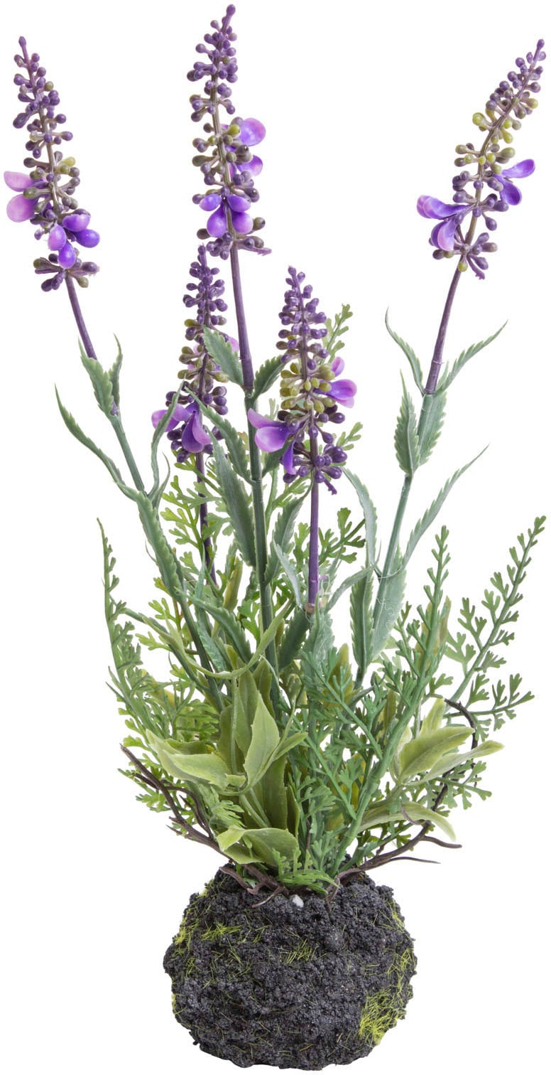 Zimmerpflanze kaufen Künstliche »Lavendel« Botanic-Haus günstig