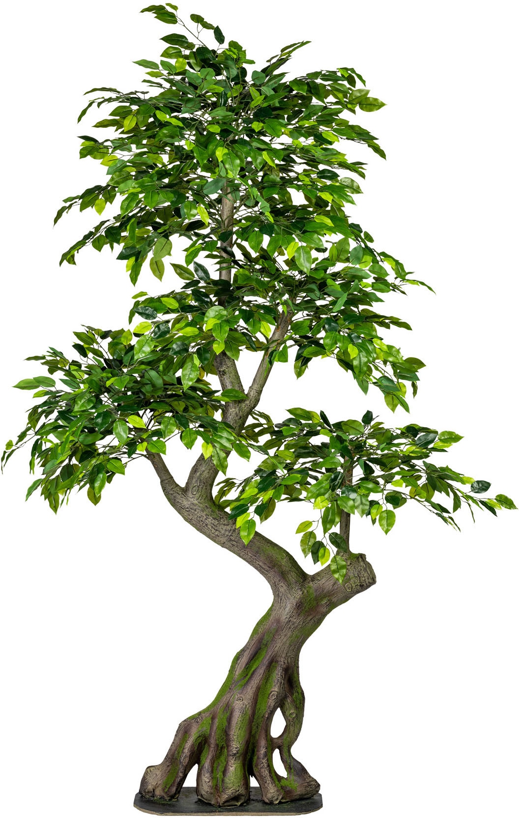 green kaufen Benjamini« günstig »Ficus Creativ Kunstbaum