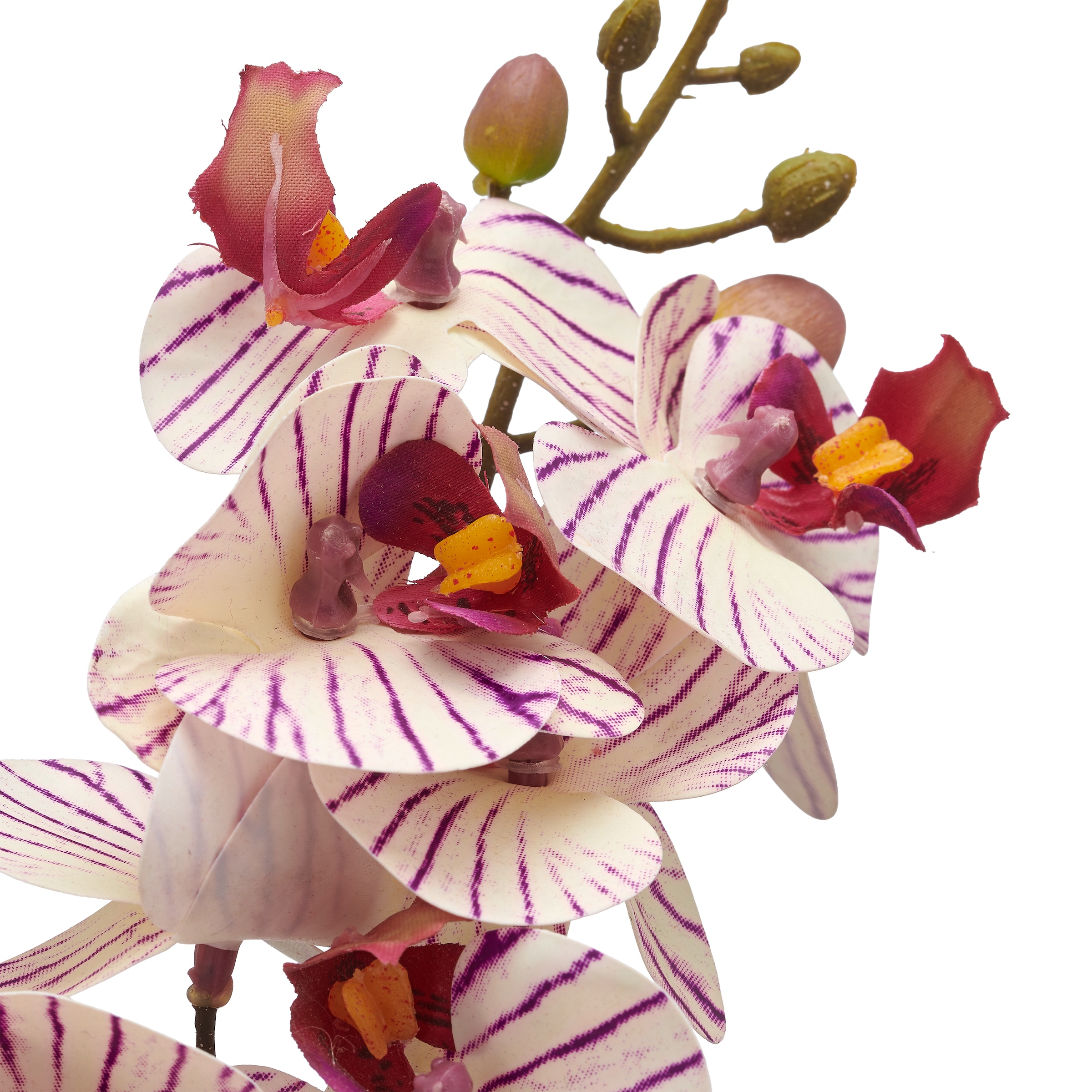 Creativ green Kunstorchidee »Orchidee Phalaenopsis«, mit real-touch-Blüten