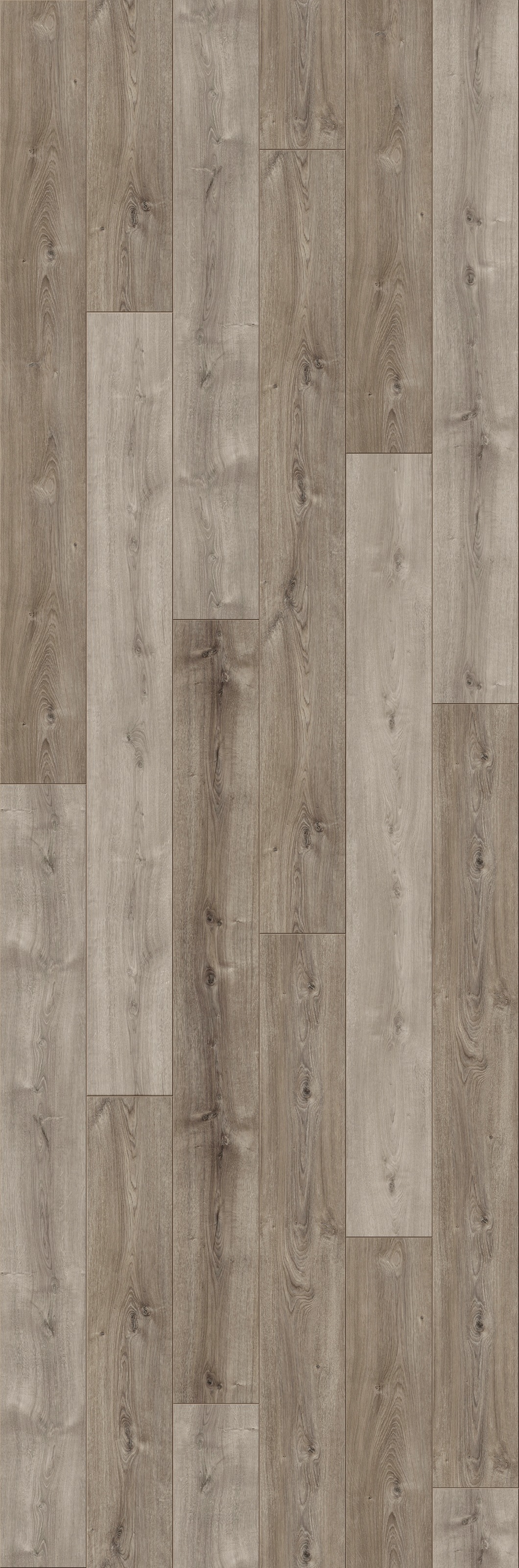 Image of PARADOR Laminat »Trendtime 6 - Eiche Valere dunkel-gekälkt«, (Packung), spezielle Trägerplatte, 2200 x 243 mm, Stärke: 9 mm bei Ackermann Versand Schweiz