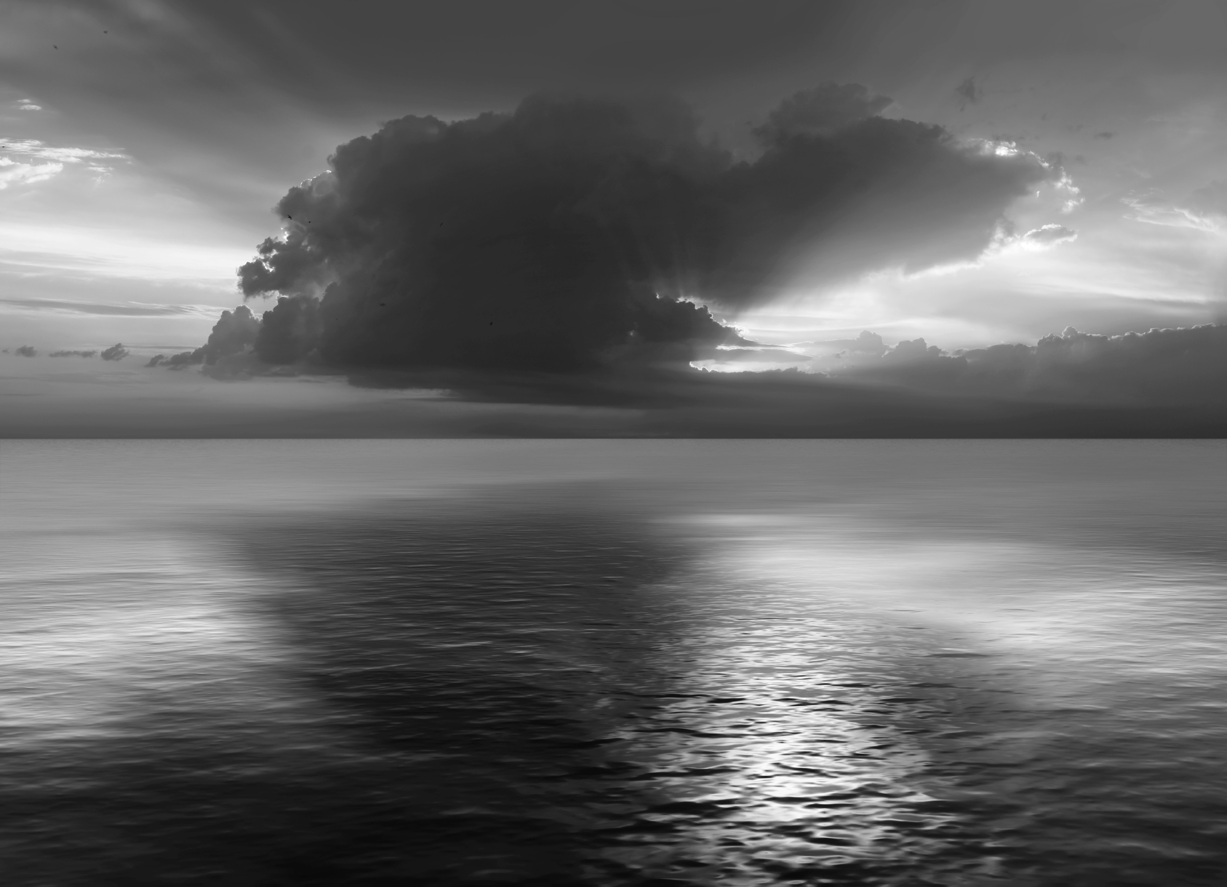 Image of Papermoon Fototapete "Meer Schwarz & Weiss"